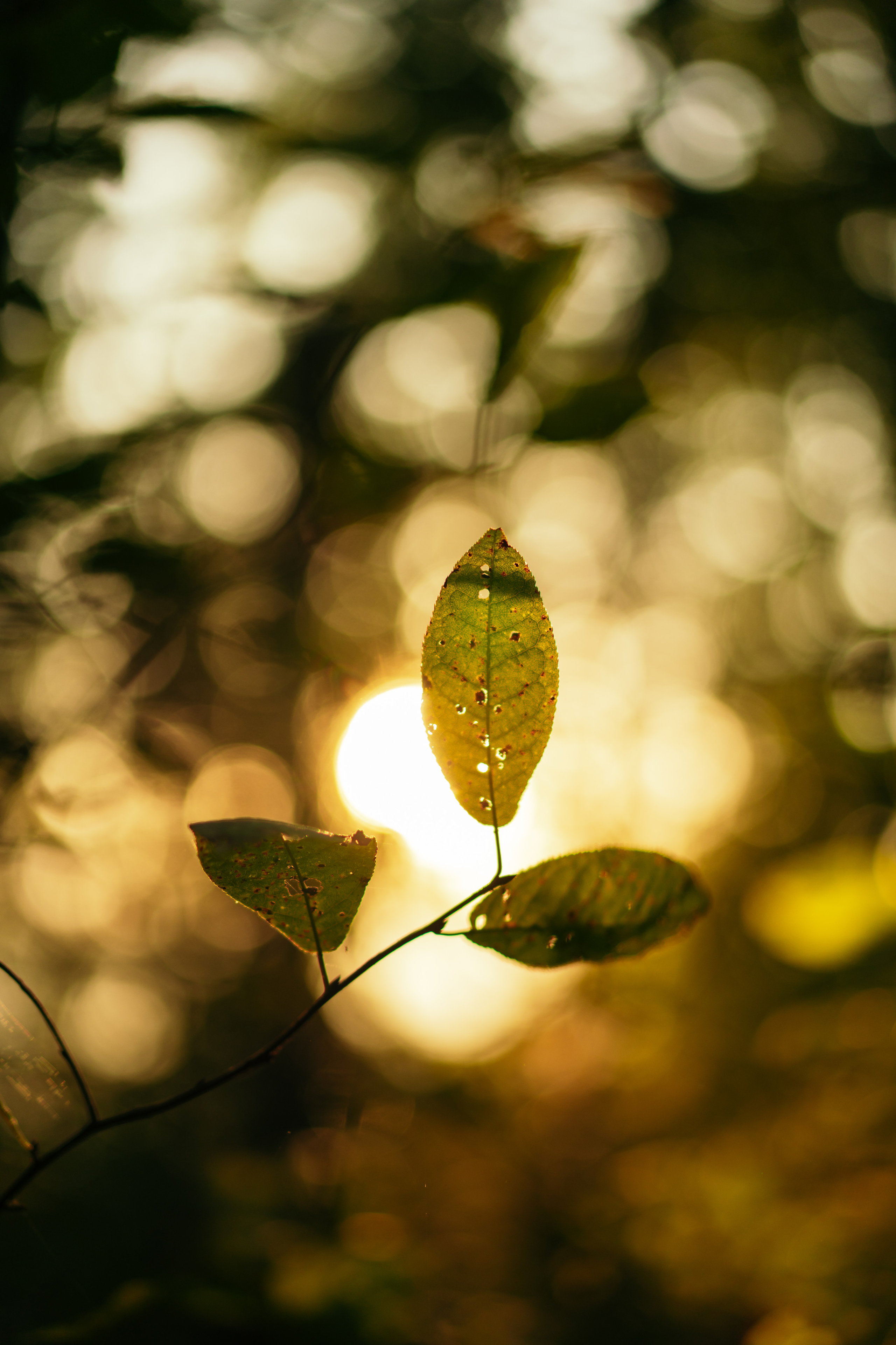 Пейзажи. Reportage and Real Estate Photographer