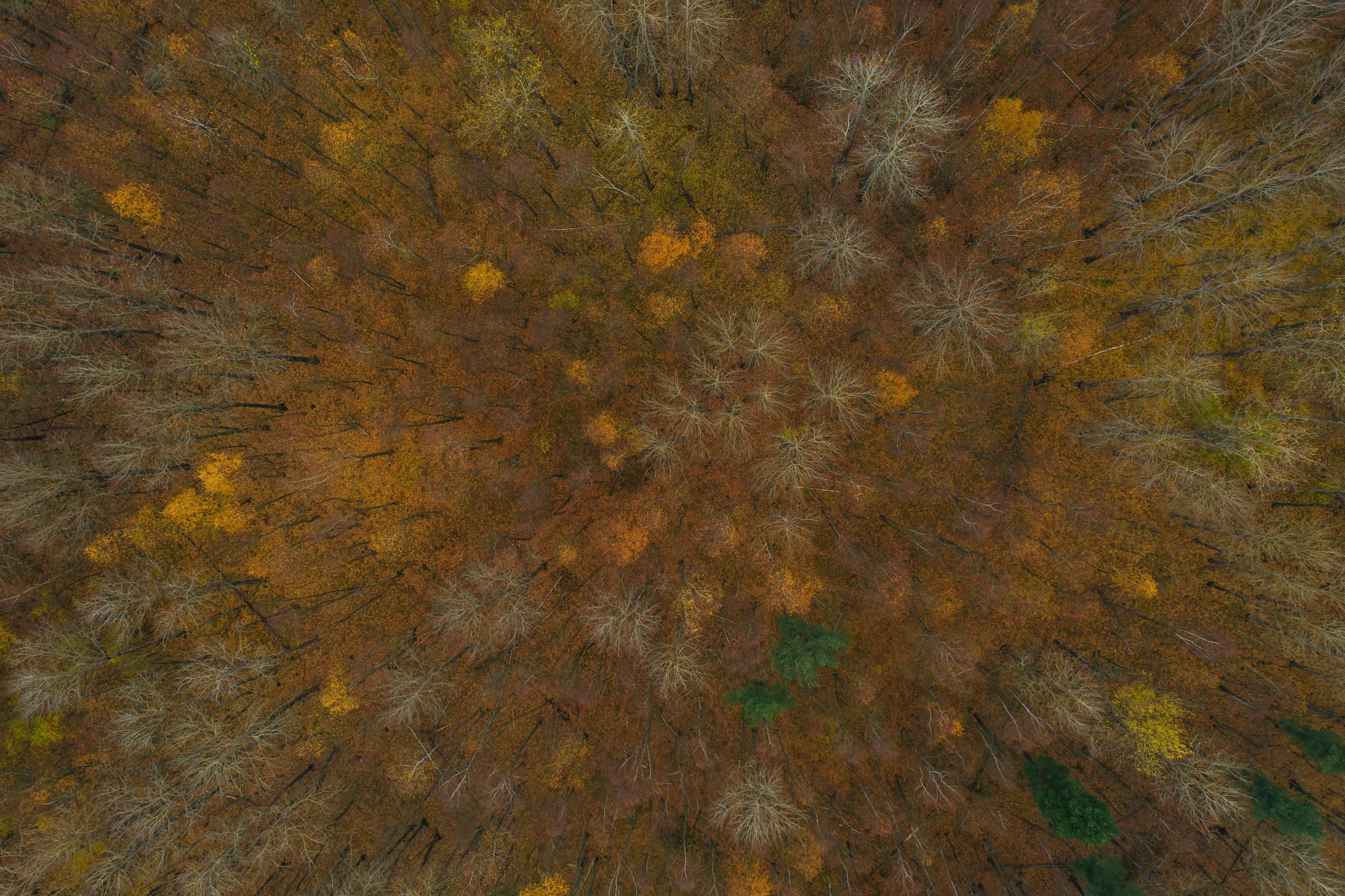 Пейзажи. Reportage and Real Estate Photographer