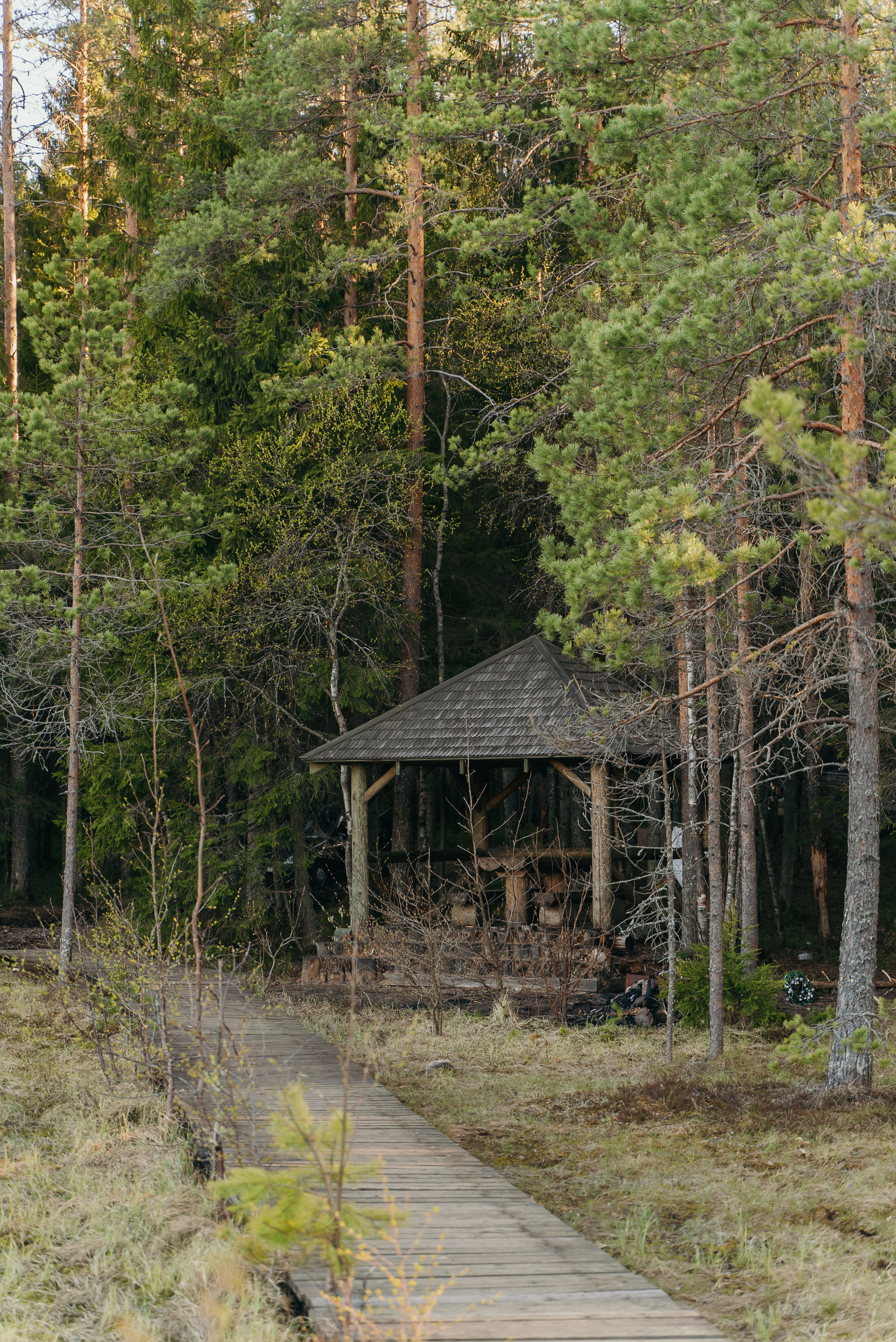 Пейзажи. Reportage and Real Estate Photographer