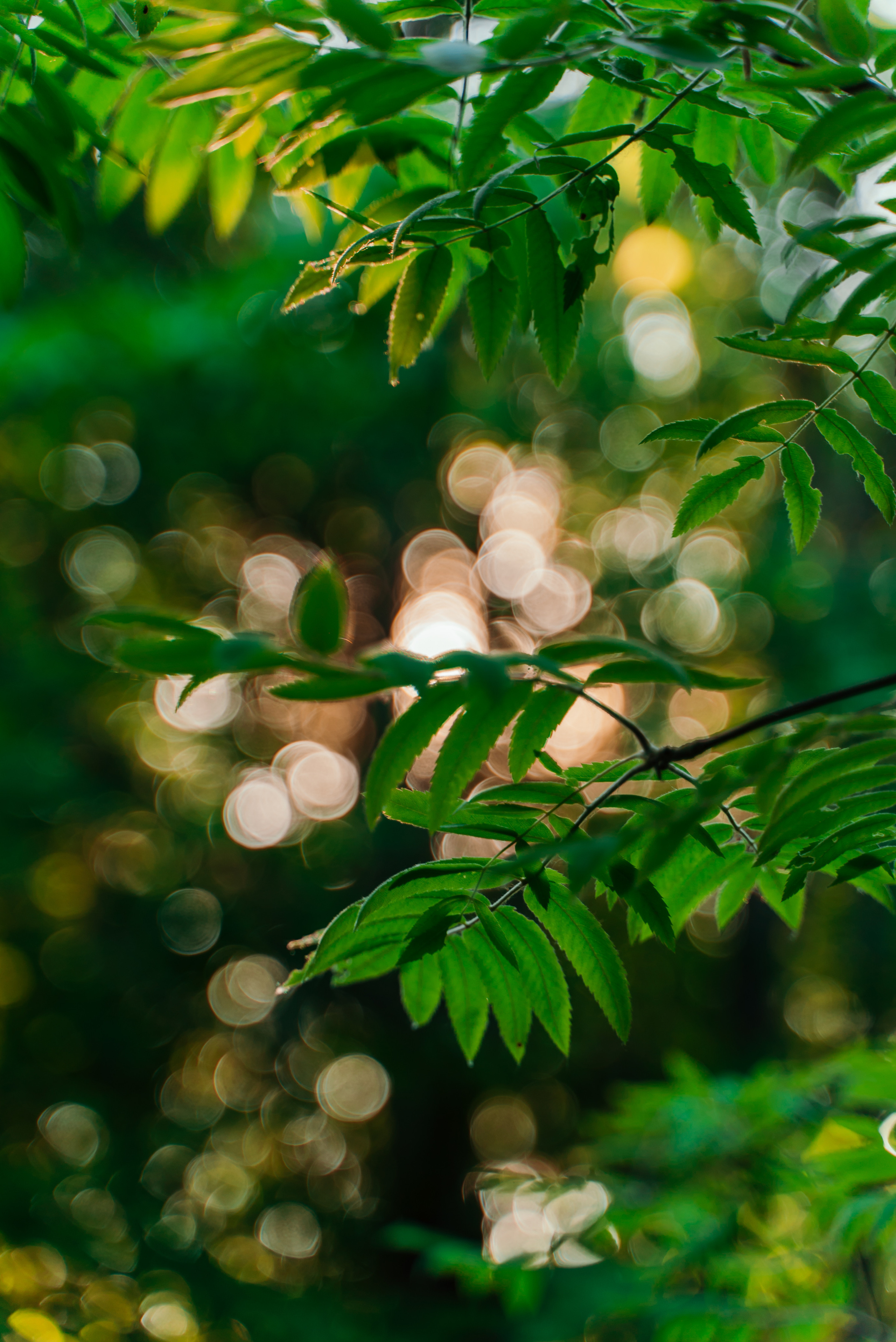 Пейзажи. Reportage and Real Estate Photographer