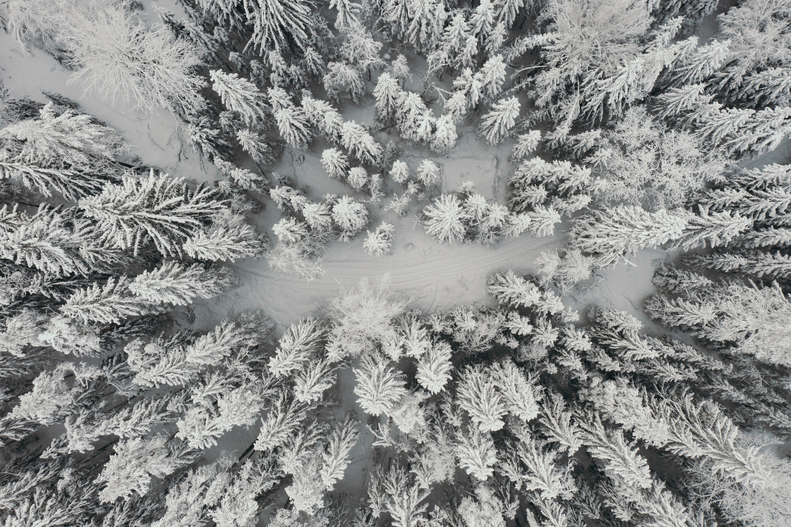 Пейзажи. Reportage and Real Estate Photographer