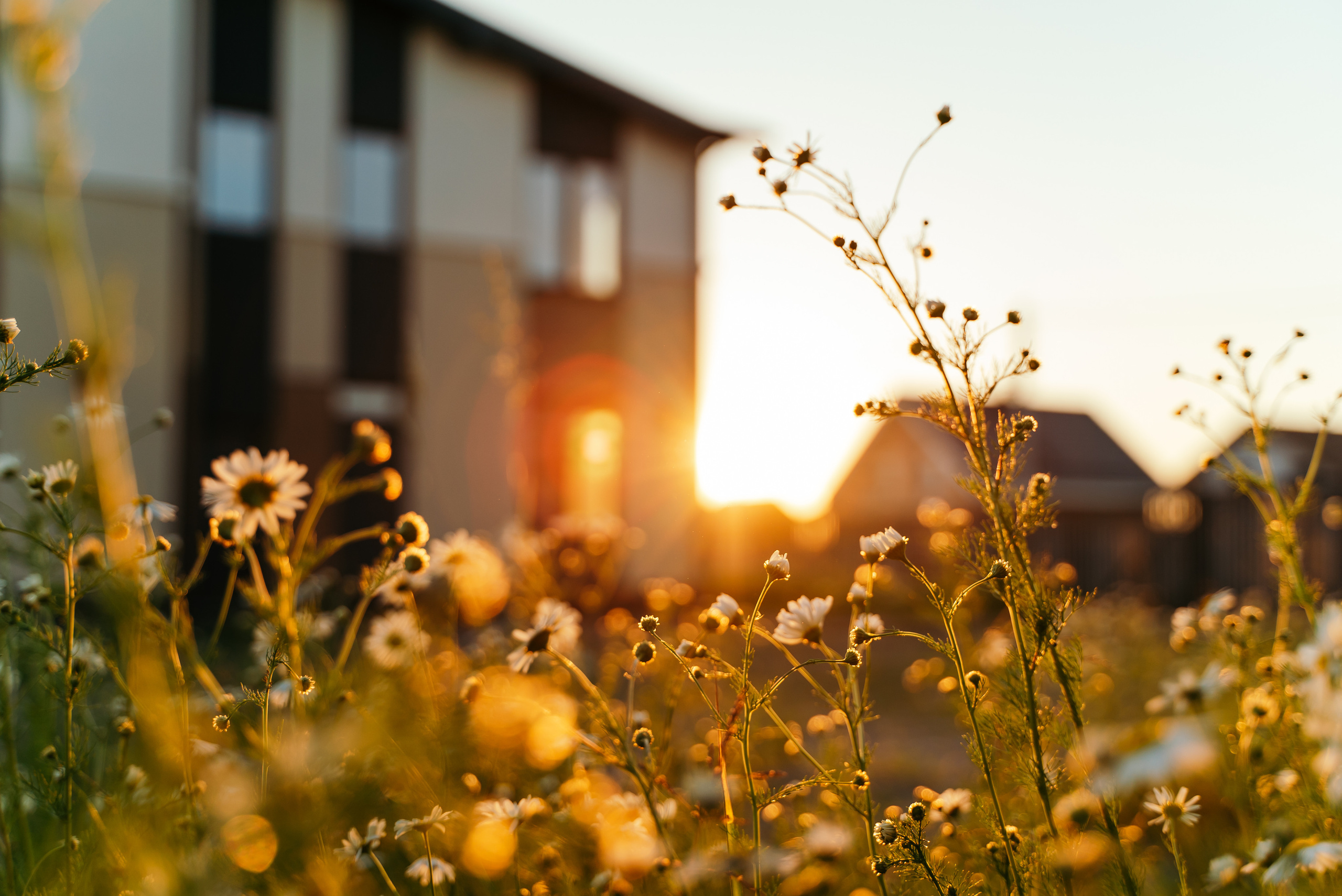 Дома. Reportage and Real Estate Photographer