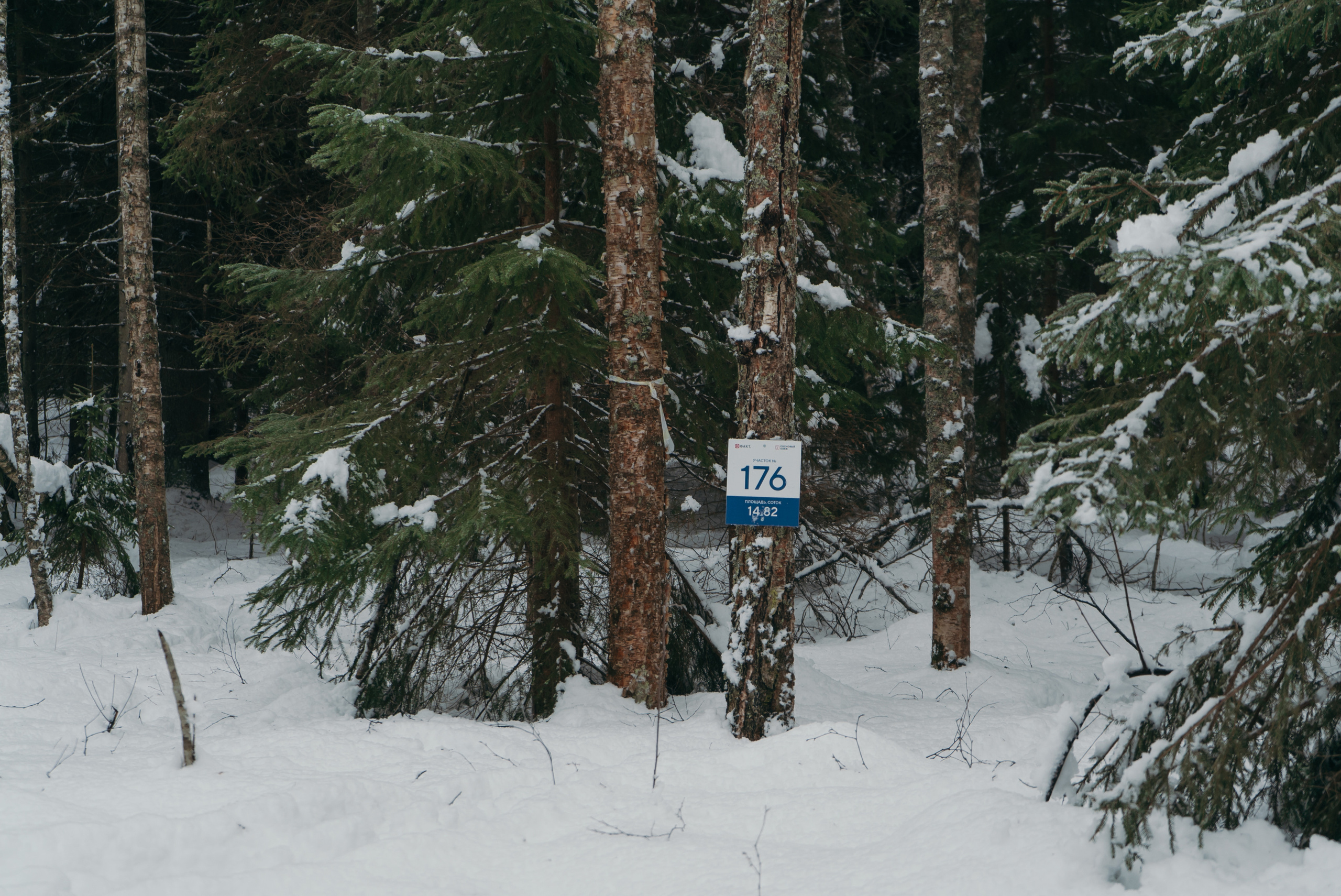 Поселки. Reportage and Real Estate Photographer