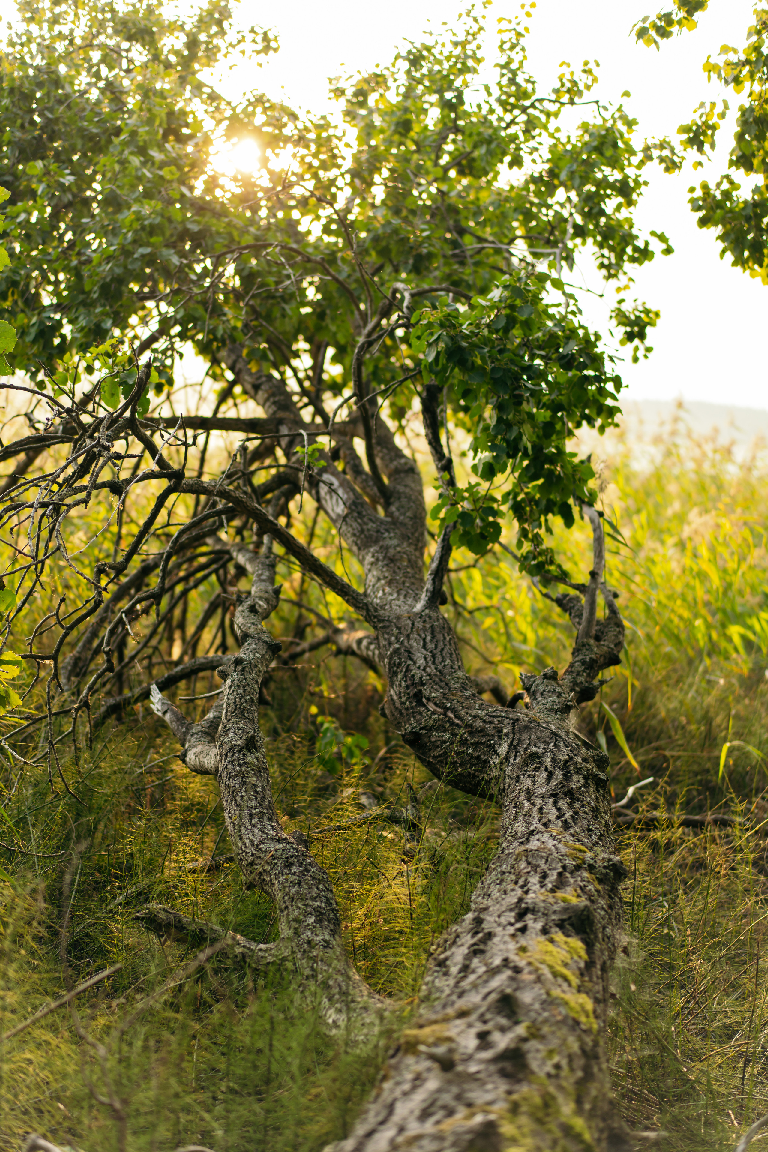 Пейзажи. Reportage and Real Estate Photographer