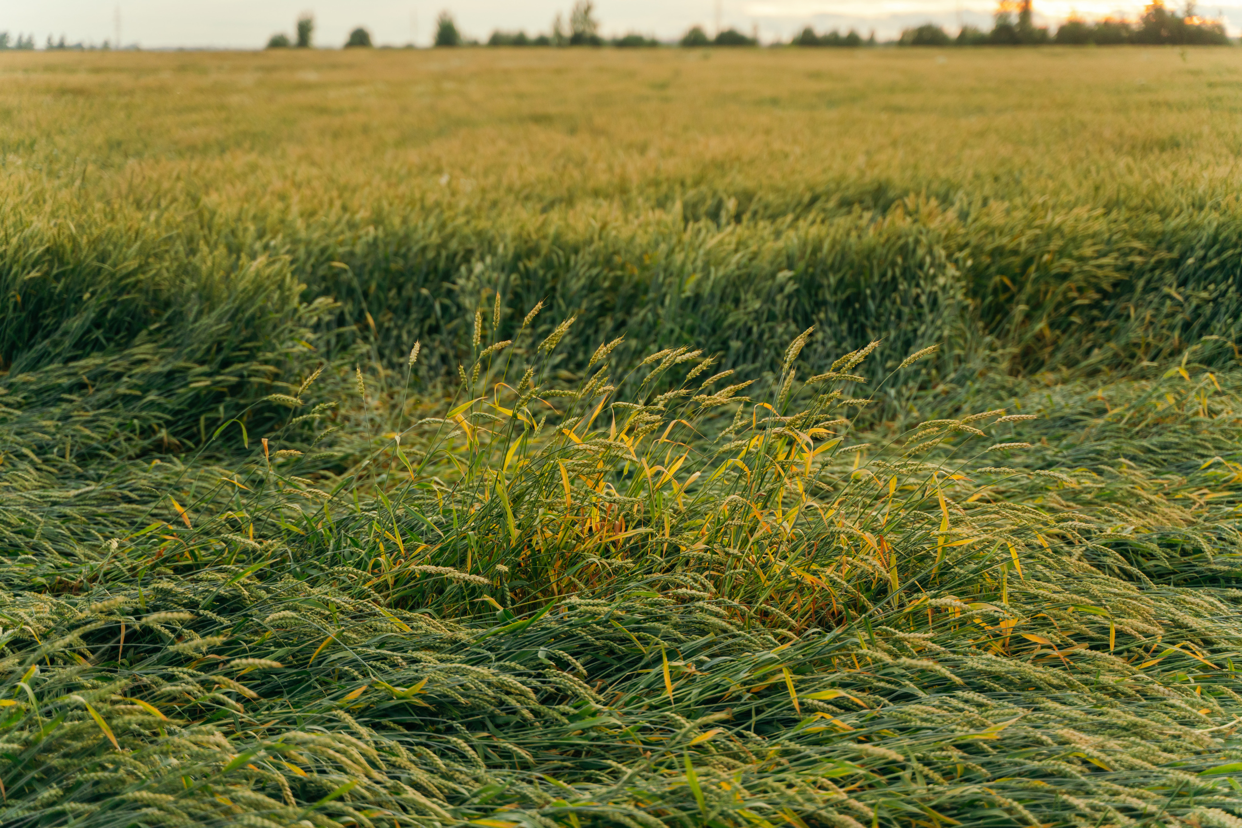 Пейзажи. Reportage and Real Estate Photographer