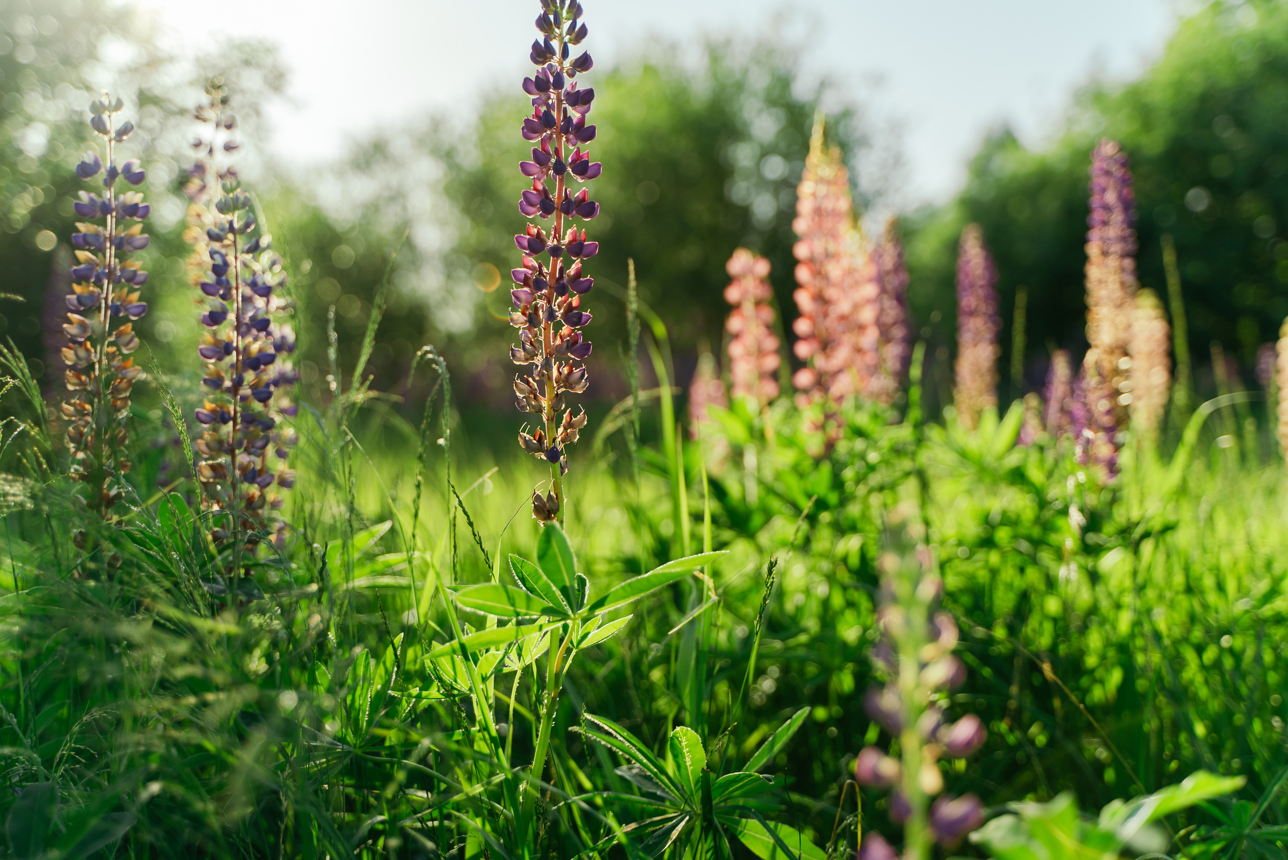 Пейзажи. Reportage and Real Estate Photographer