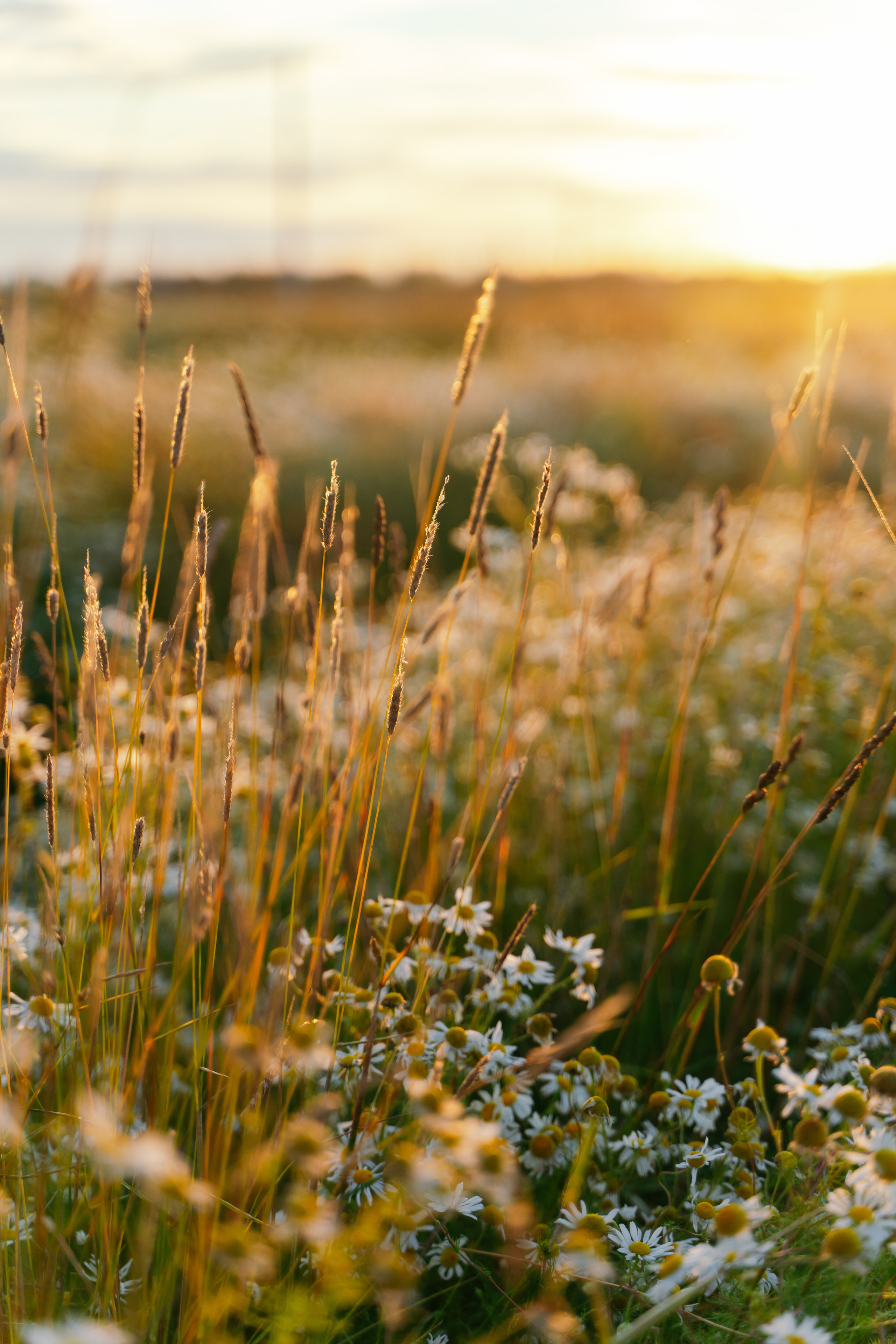 Пейзажи. Reportage and Real Estate Photographer