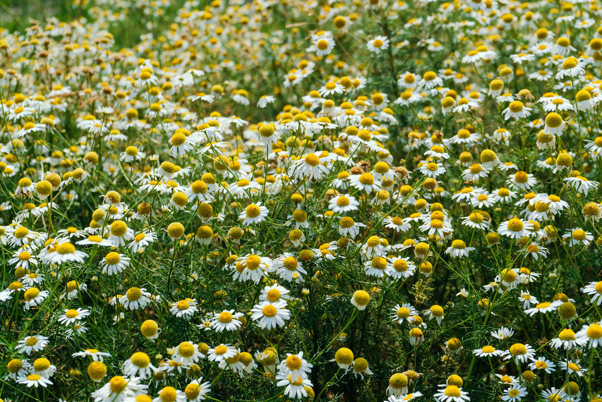 Пейзажи. Reportage and Real Estate Photographer