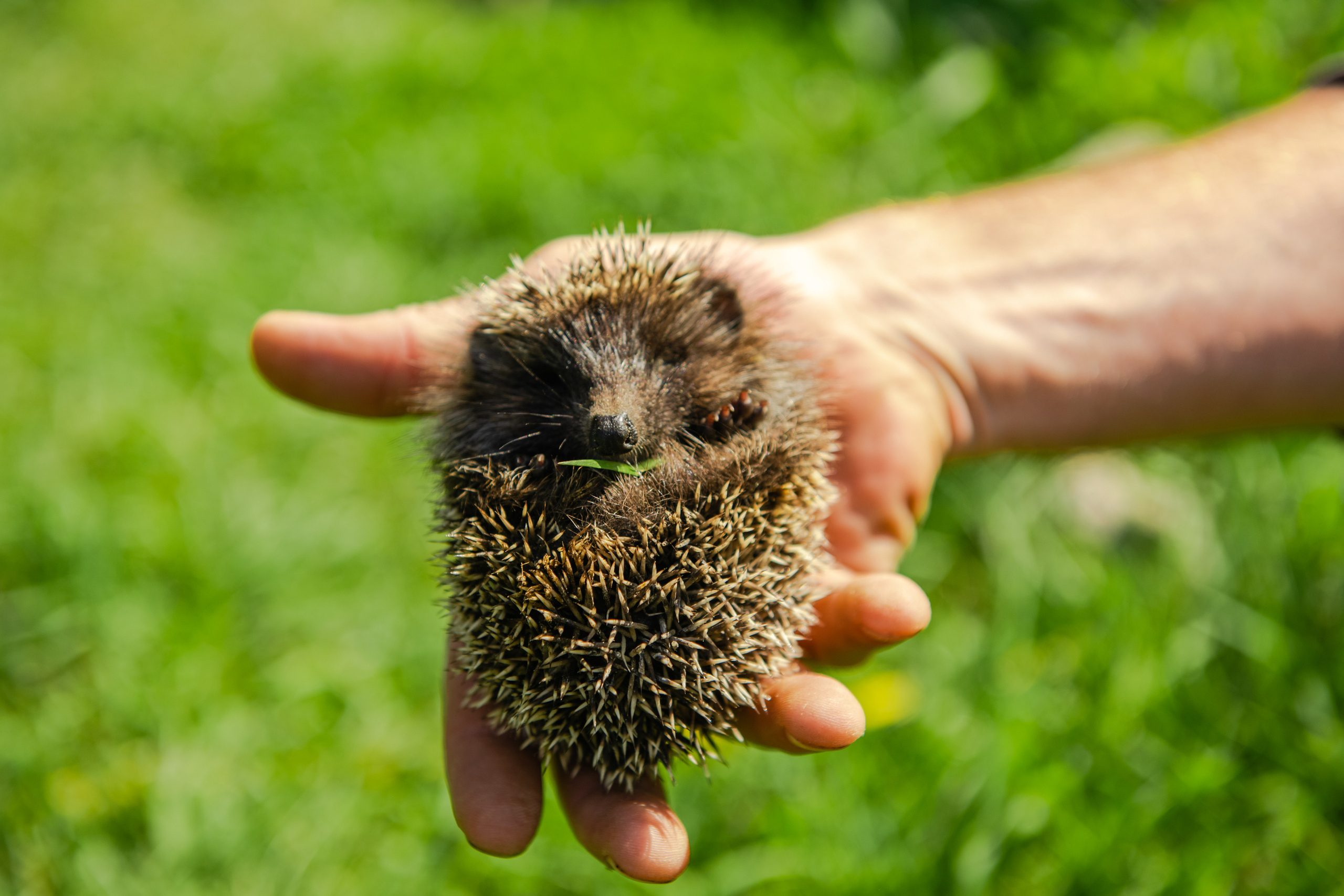 Пейзажи. Reportage and Real Estate Photographer