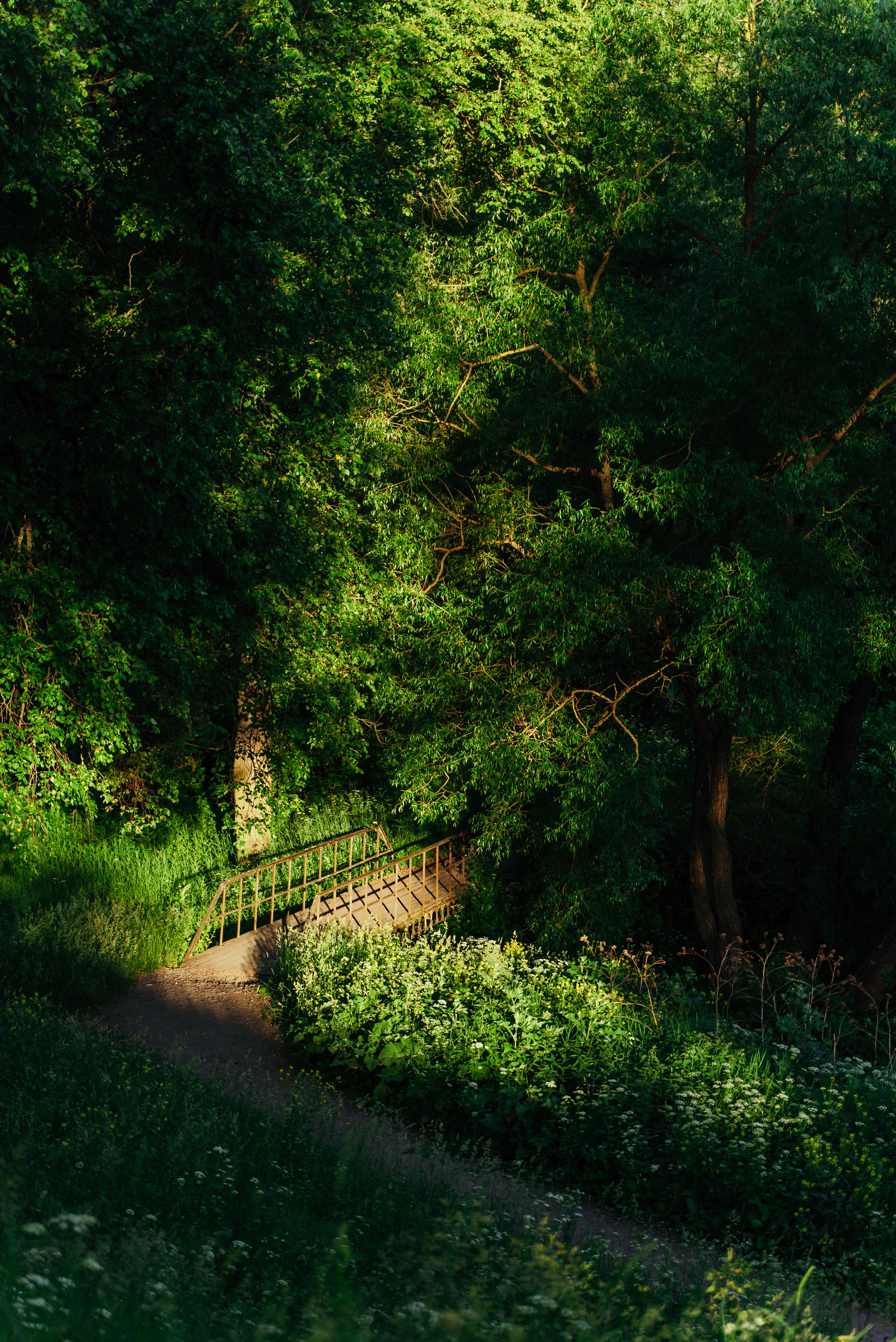 Пейзажи. Reportage and Real Estate Photographer