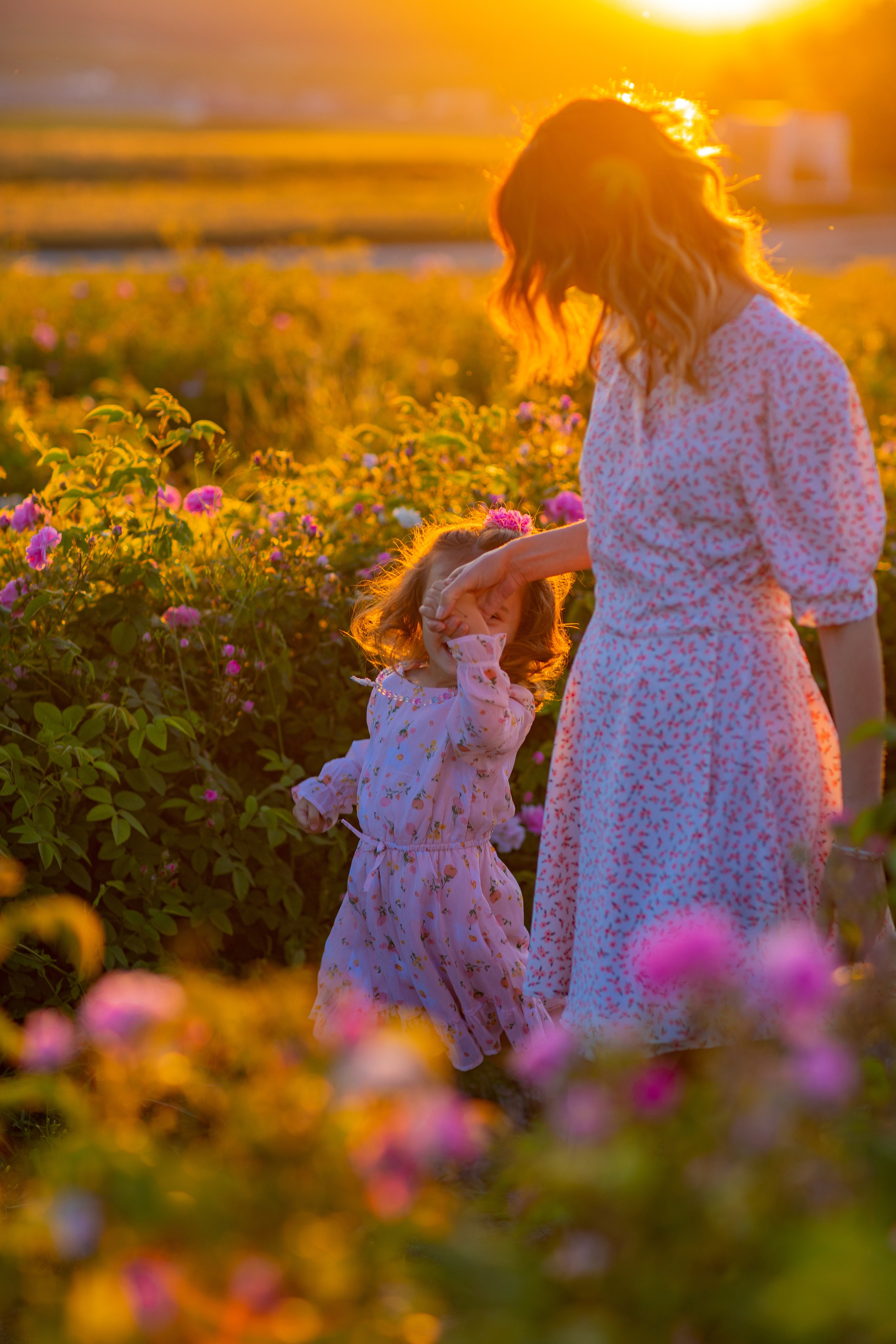 Чайная роза. Фотограф Севастополь/Крым Светлана Евтушенко