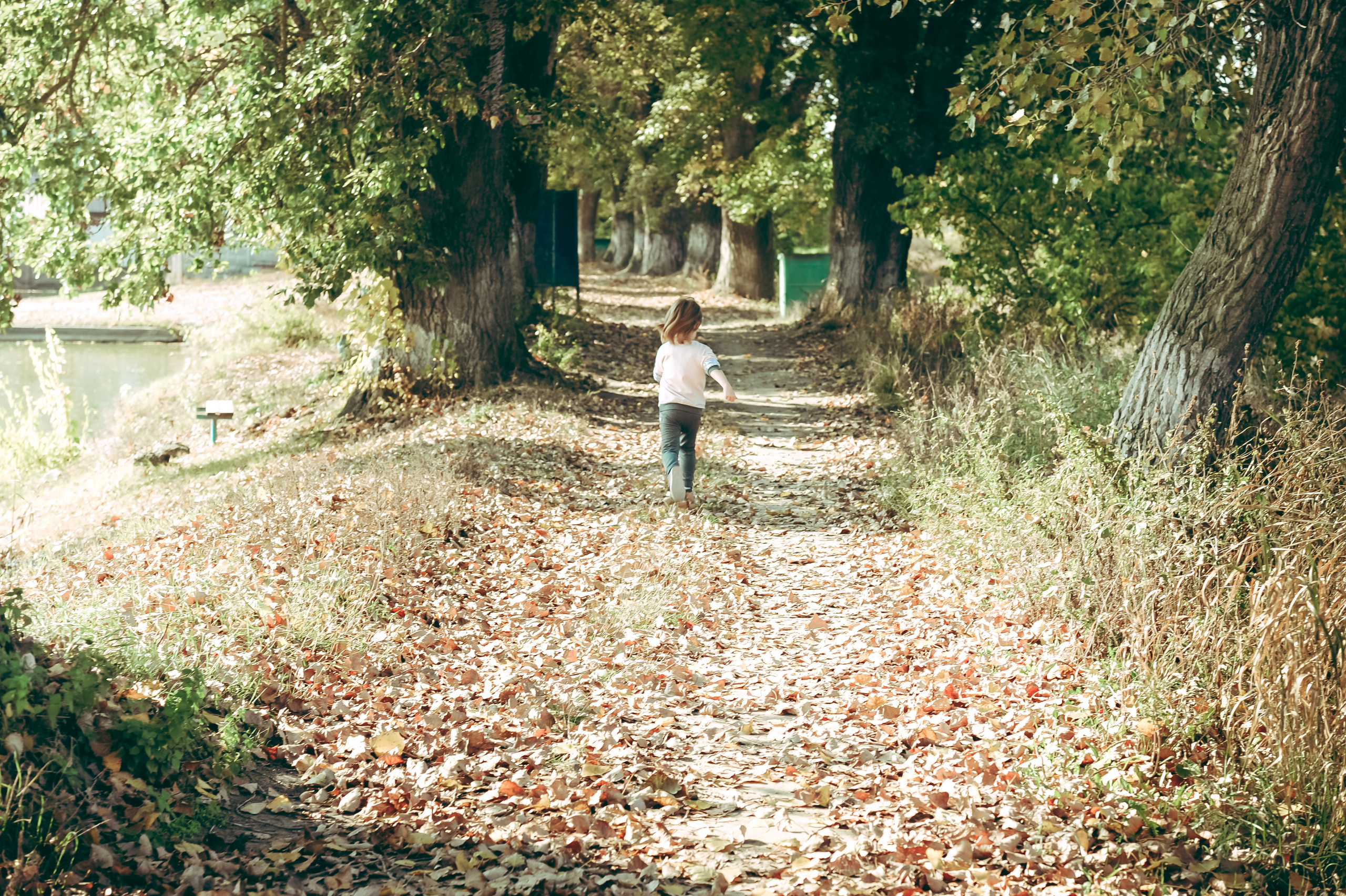 E+E. Фотограф в Прохладном Сергей Никитин