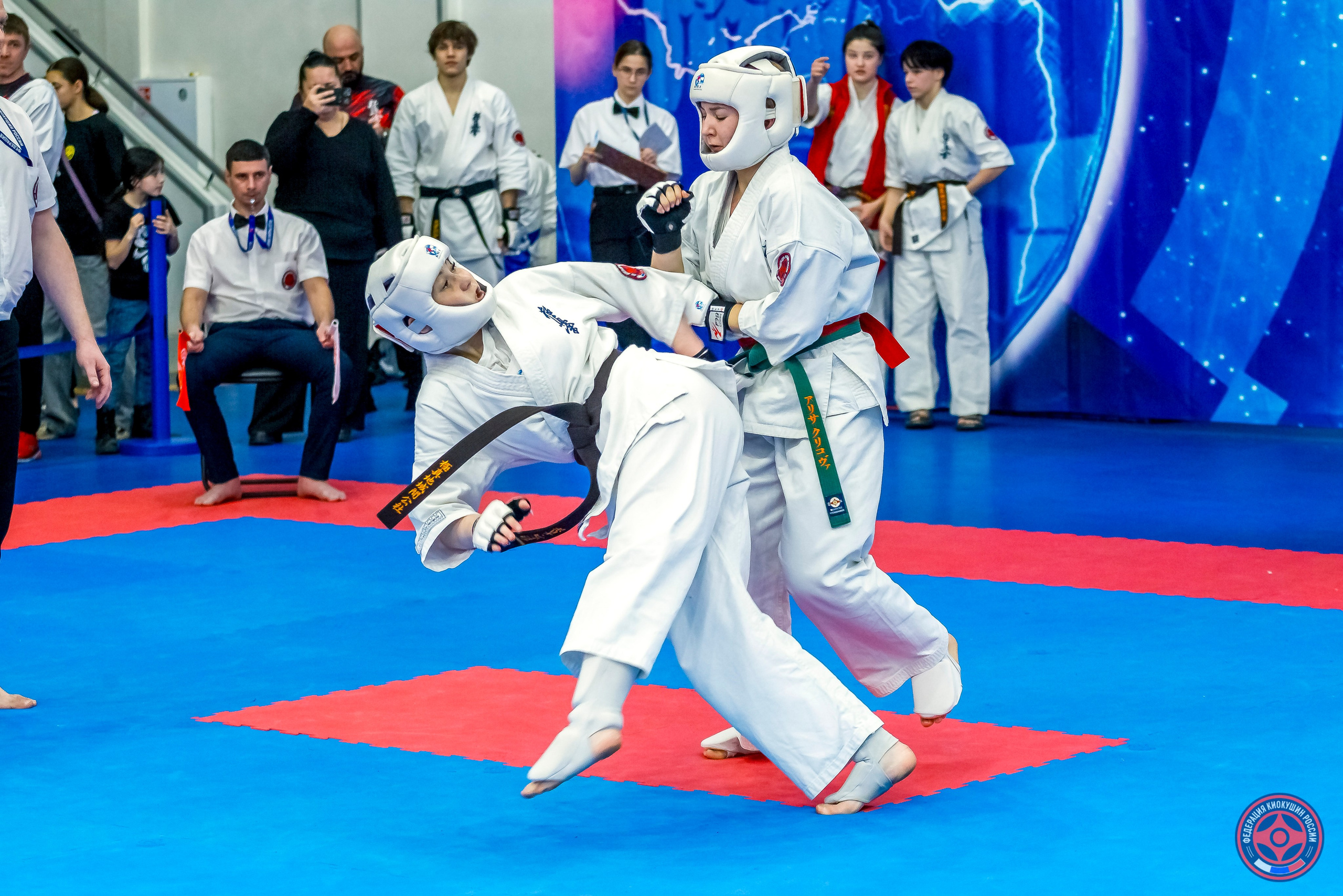 Международный турнир по киокушин «Открытый кубок Seiken». Репортажная съемка в Москве и области. Анималистика