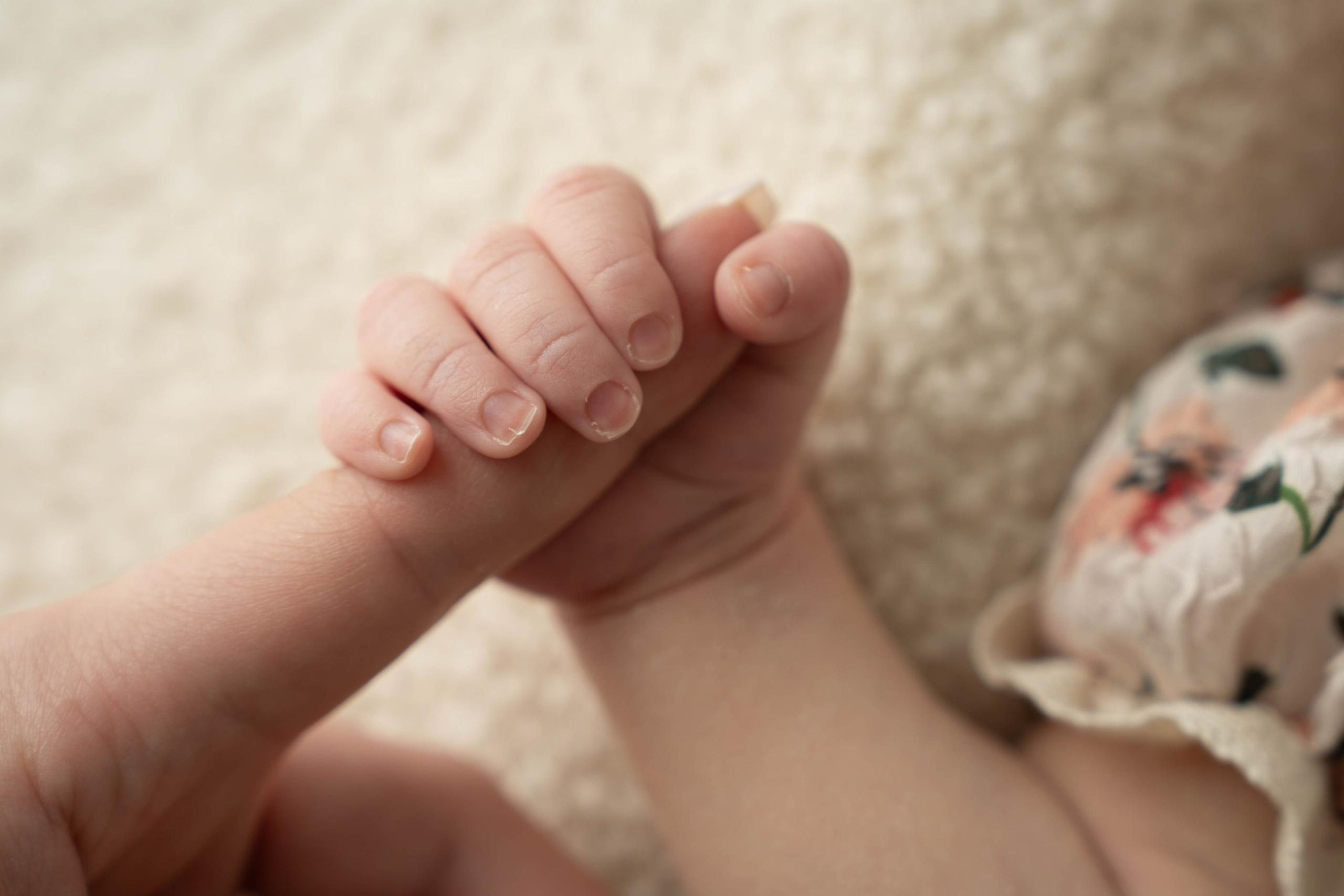 Newborn. Фотограф новорожденных в Москве, Зеленограде, МО, Дмитриева Дарья