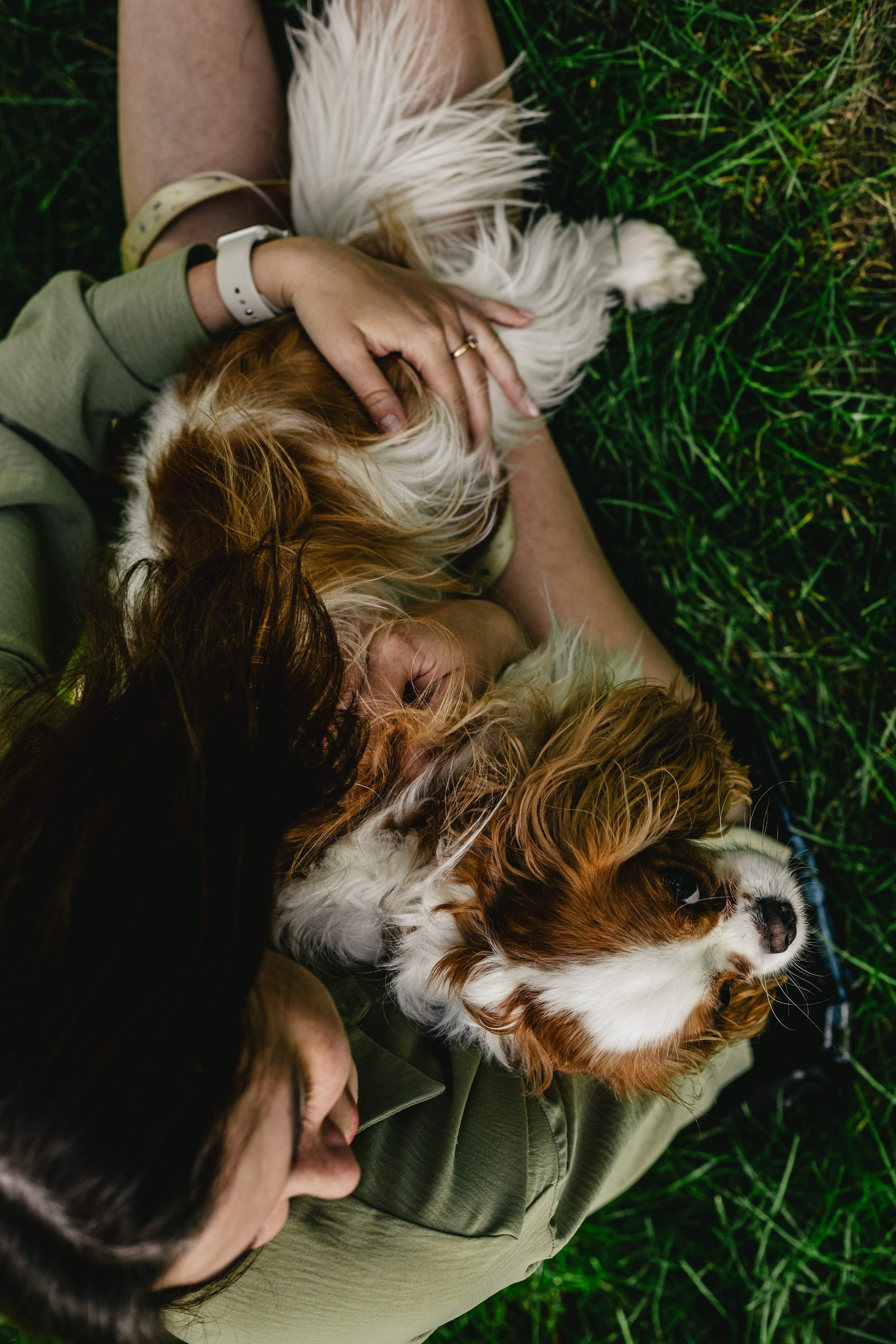Фотопрогулка на бульваре. Фотограф-анималист Татьяна Степанова