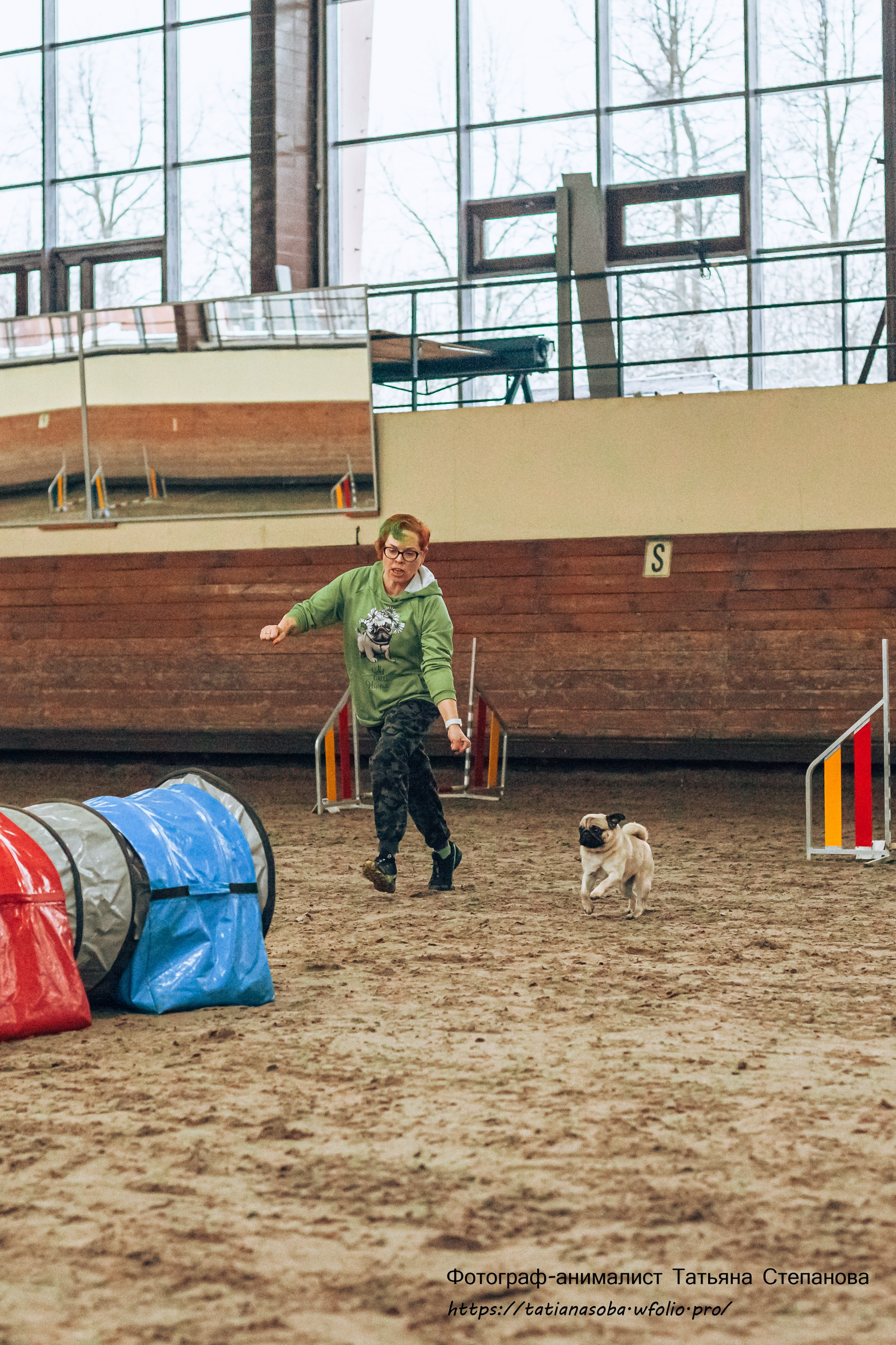 Соревнования по Аджилити 25.02.2024. Фотограф-анималист Татьяна Степанова