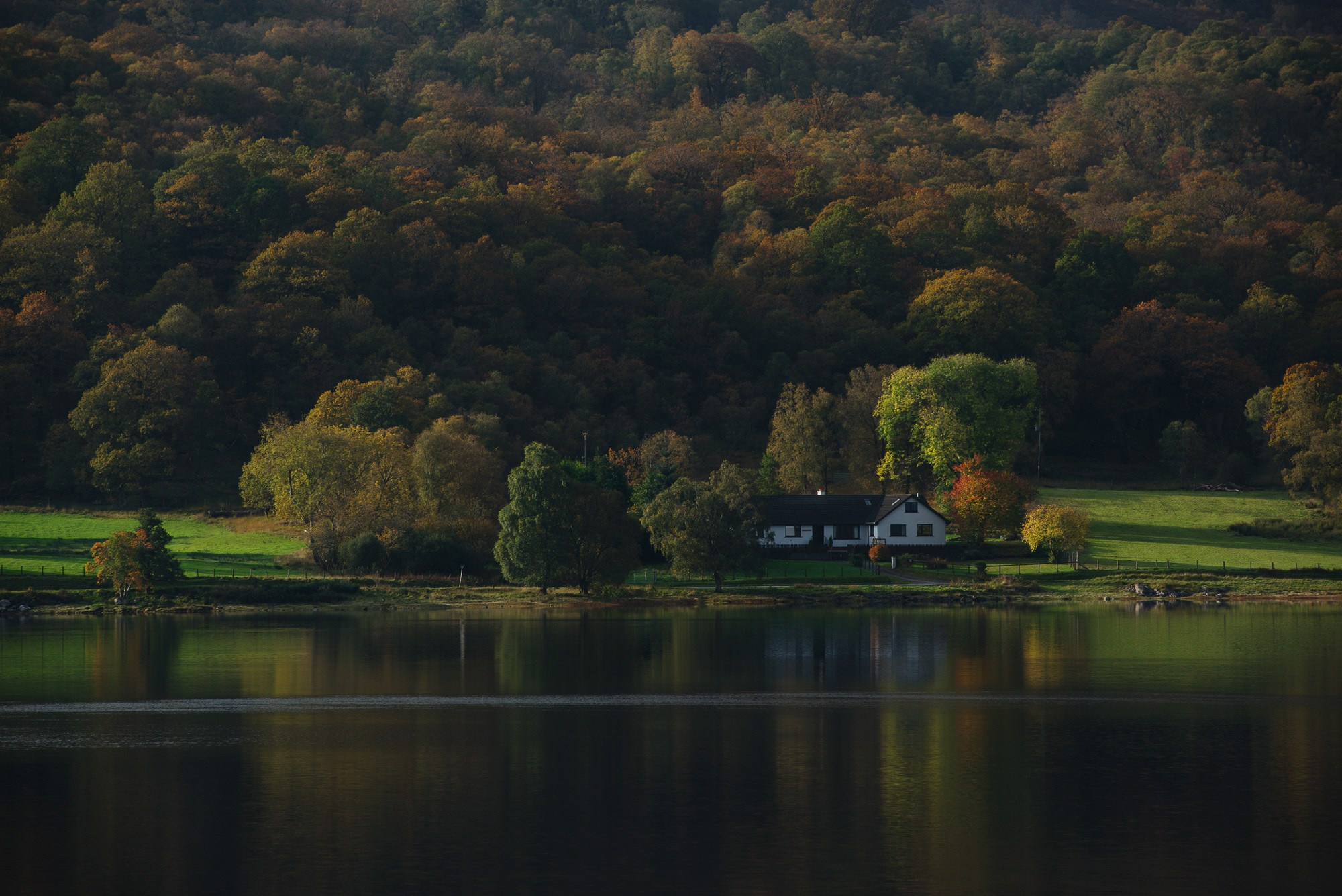  Белый дом с черной крышей и зеленым газоном отражается в спокойной воде озера  Лох-Элти, окруженного густым лесом 