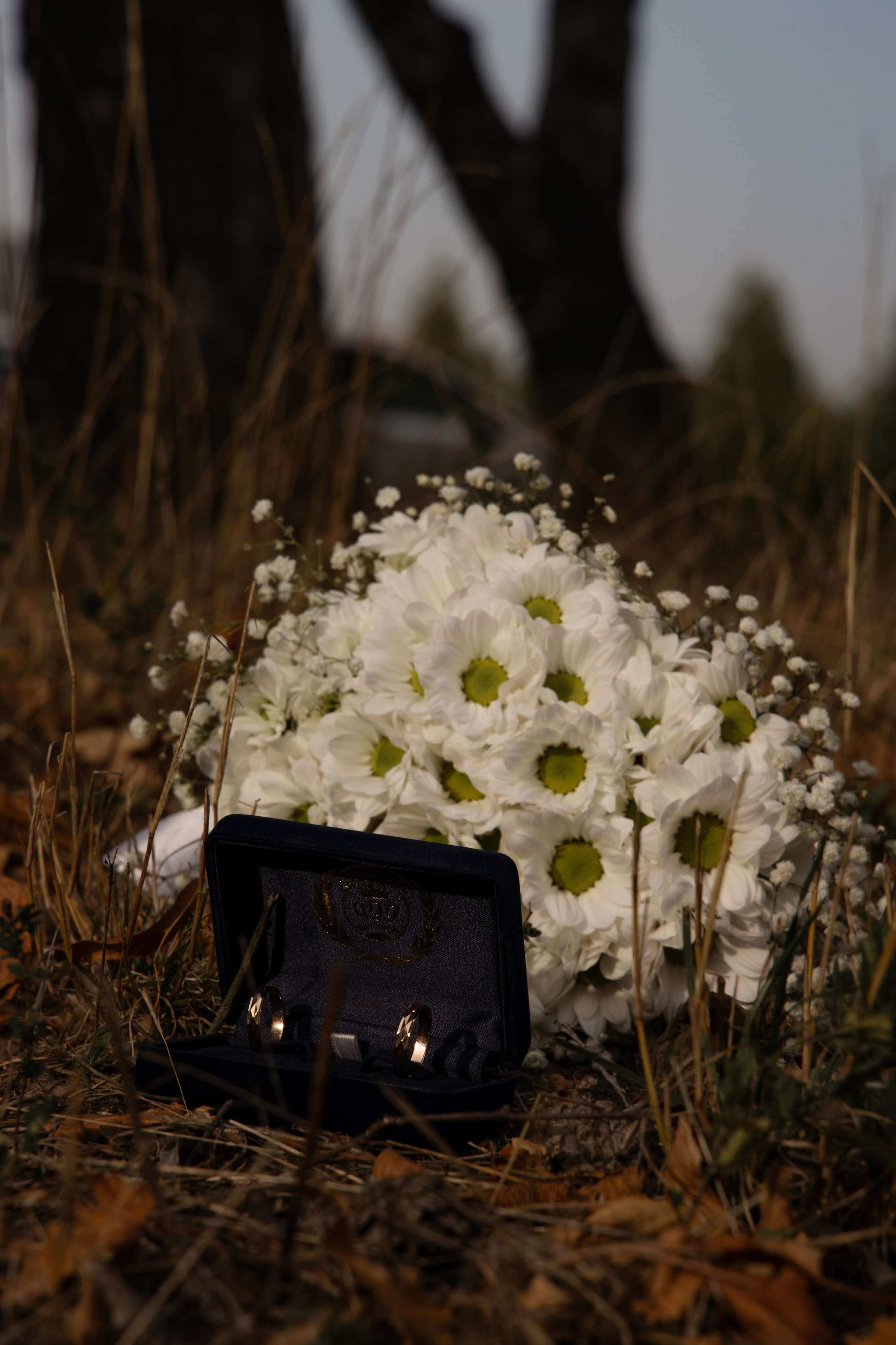 Эти трепетные чувства. Свадебный фотограф в Ставрополе Ксения Ковальчук