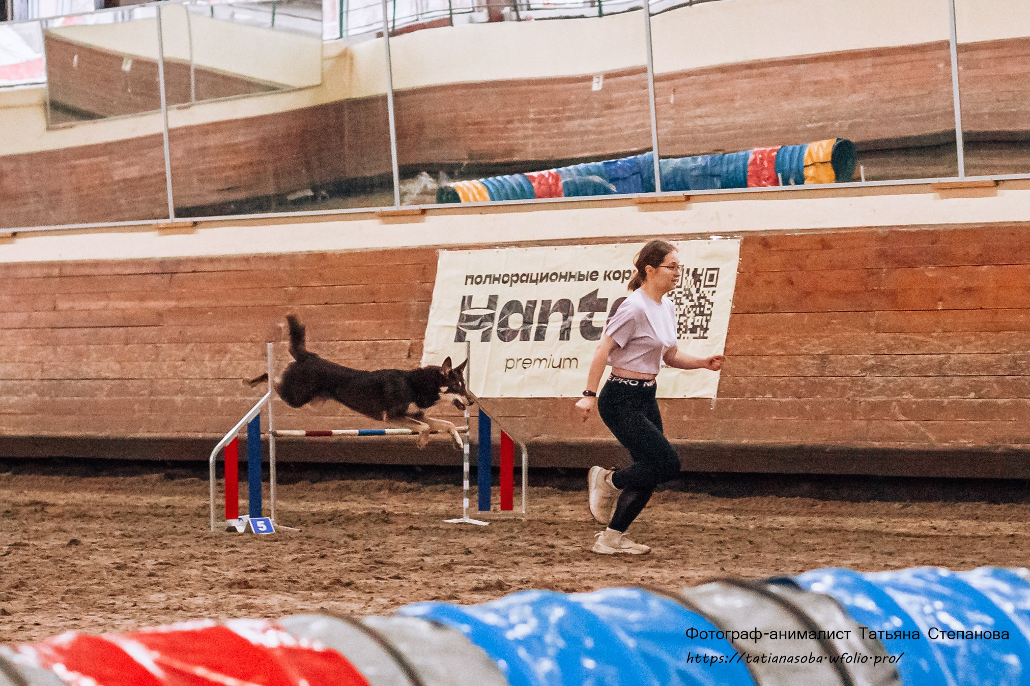 Соревнования по Аджилити 25.02.2024. Фотограф-анималист Татьяна Степанова