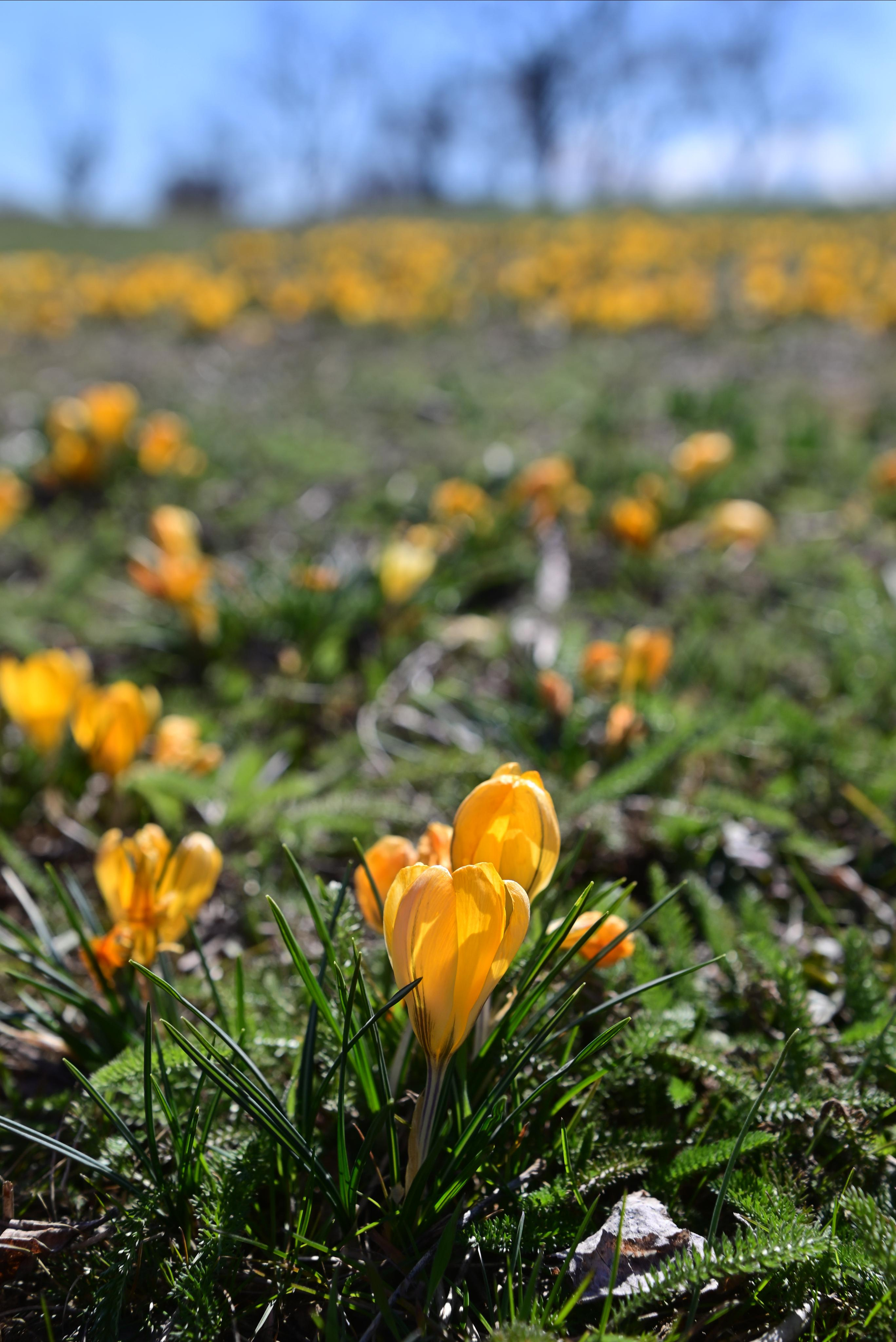 Фототуры, обучение, фотограф Анастасия Забелина в Крыму и Севастополе