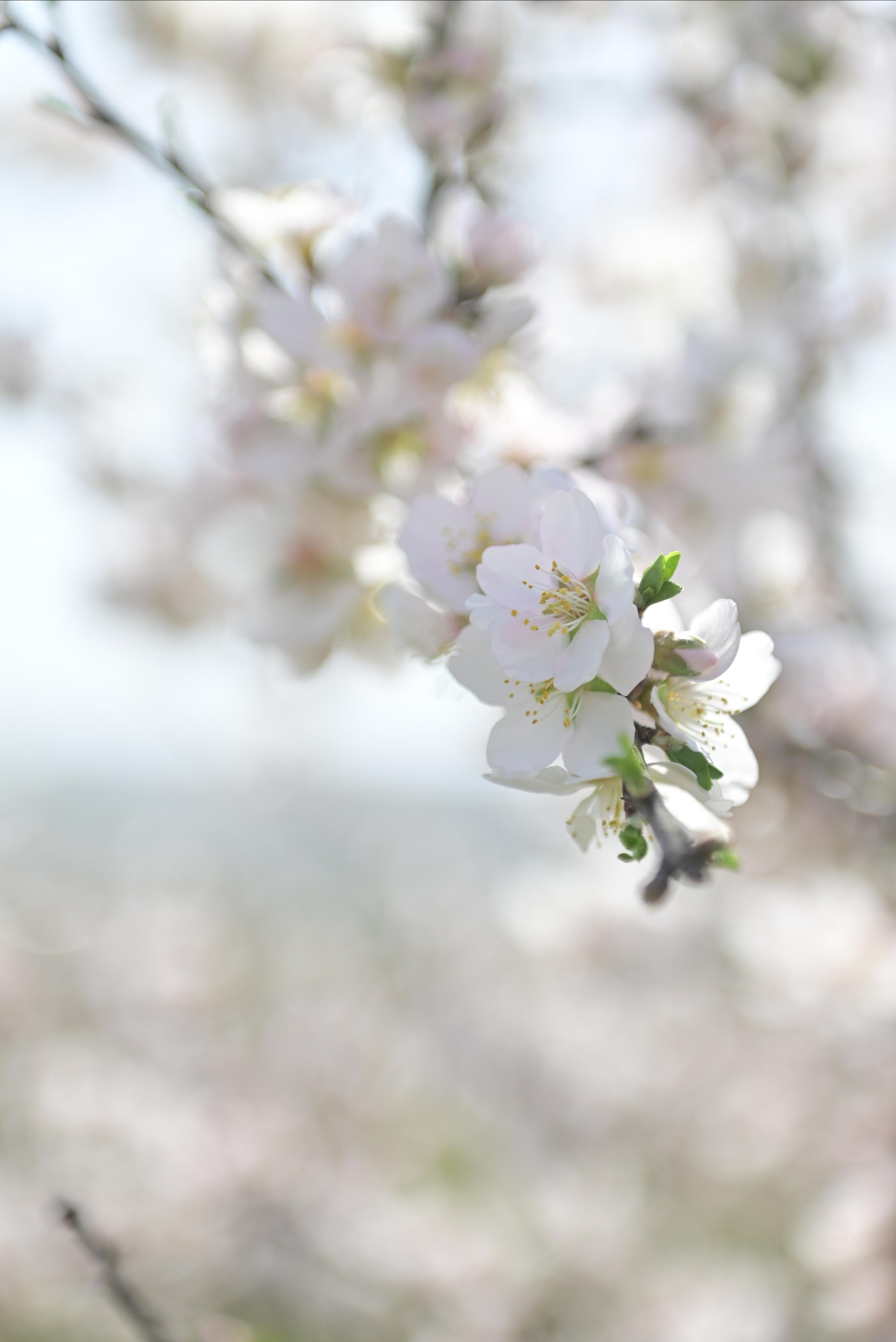 Фототуры, обучение, фотограф Анастасия Забелина в Крыму и Севастополе