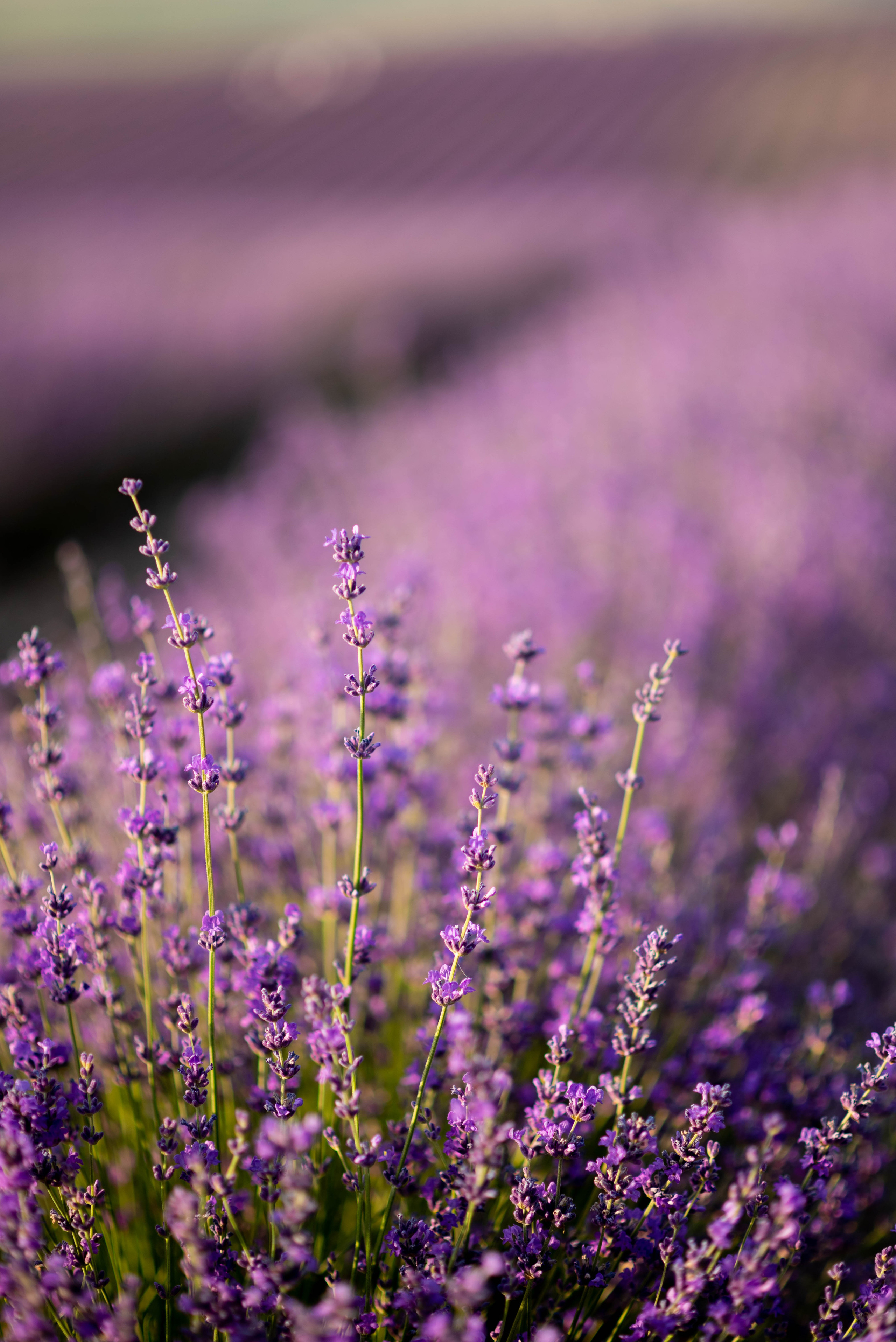 Фототуры, обучение, фотограф Анастасия Забелина в Крыму и Севастополе