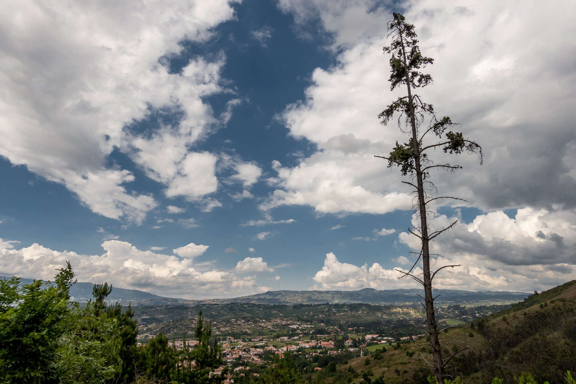Алексей Скоробогатько, фотограф.  Колумбия Вилья-де-Лейва. Alexey Skorobogatko, photographer, Colombia Villa de Leyva. Фотограф Алексей Скоробогатько