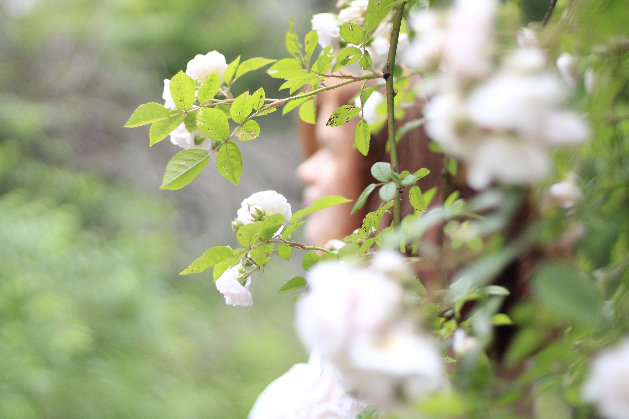 Цвет. Женский фотограф Владивосток