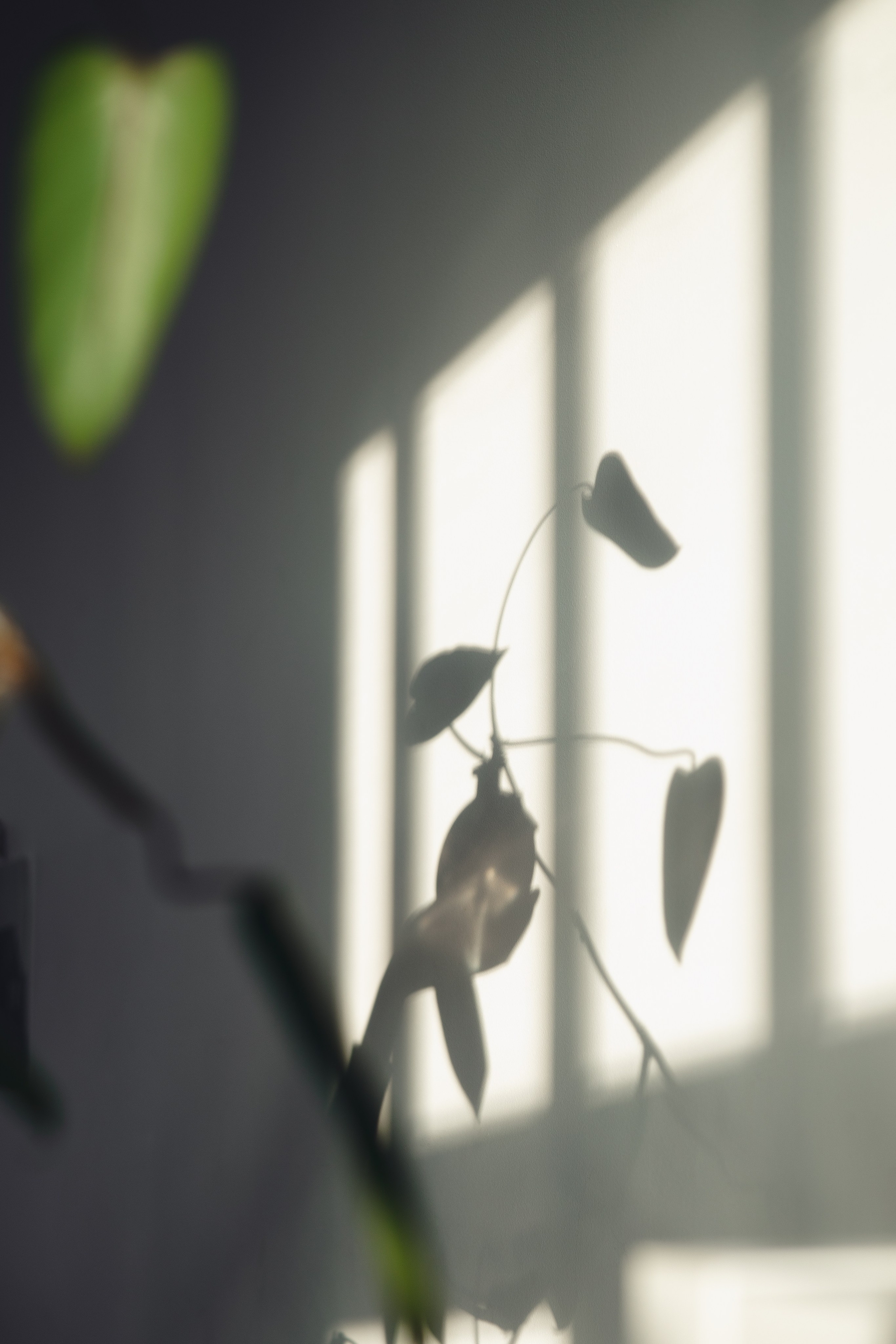 Предметная съемка для бизнеса. Фотограф в Санкт-Петербурге Осокина Елизавета