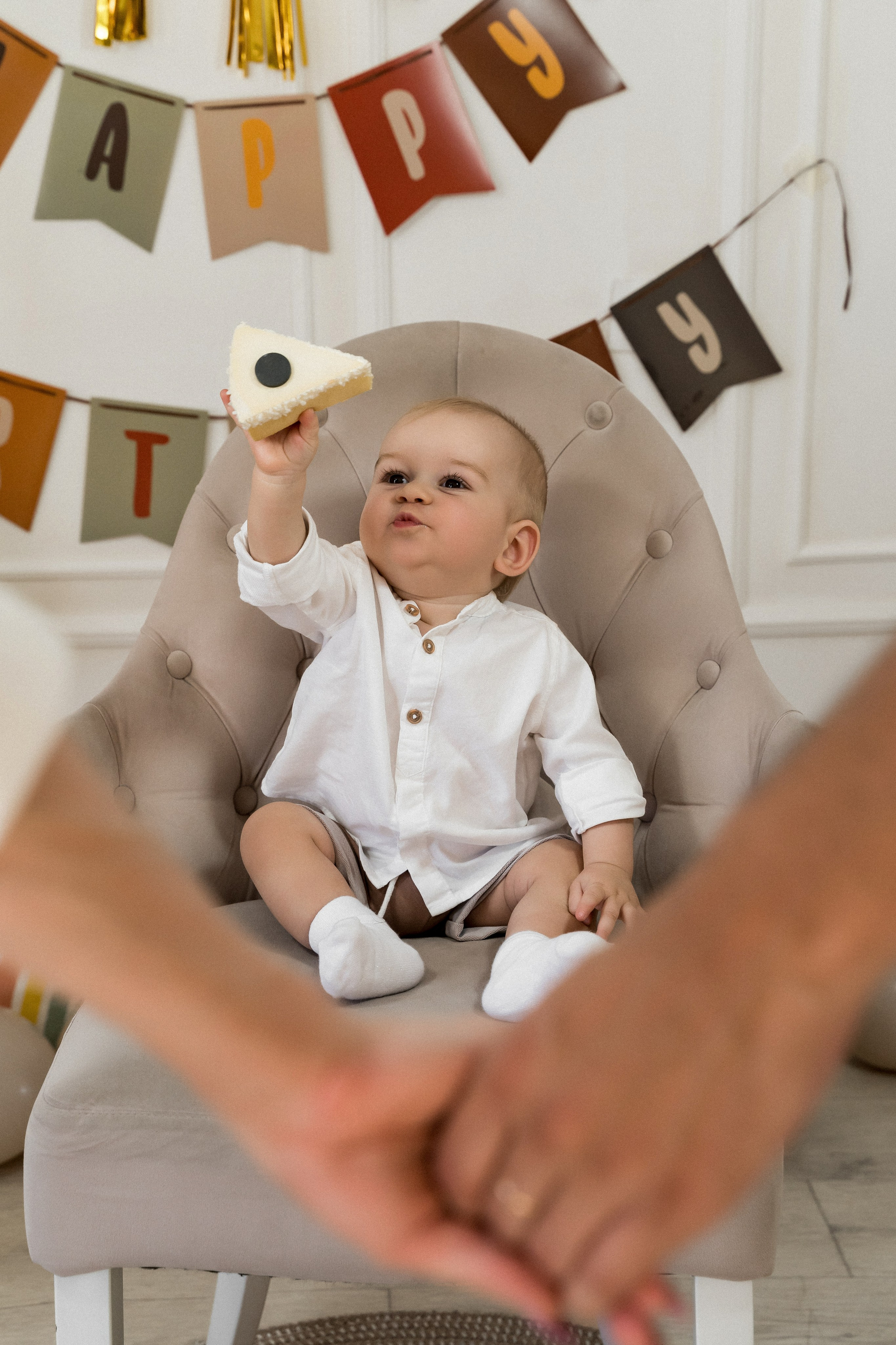 Льву 1 год!. Фотограф Алина Филимонова Тверь