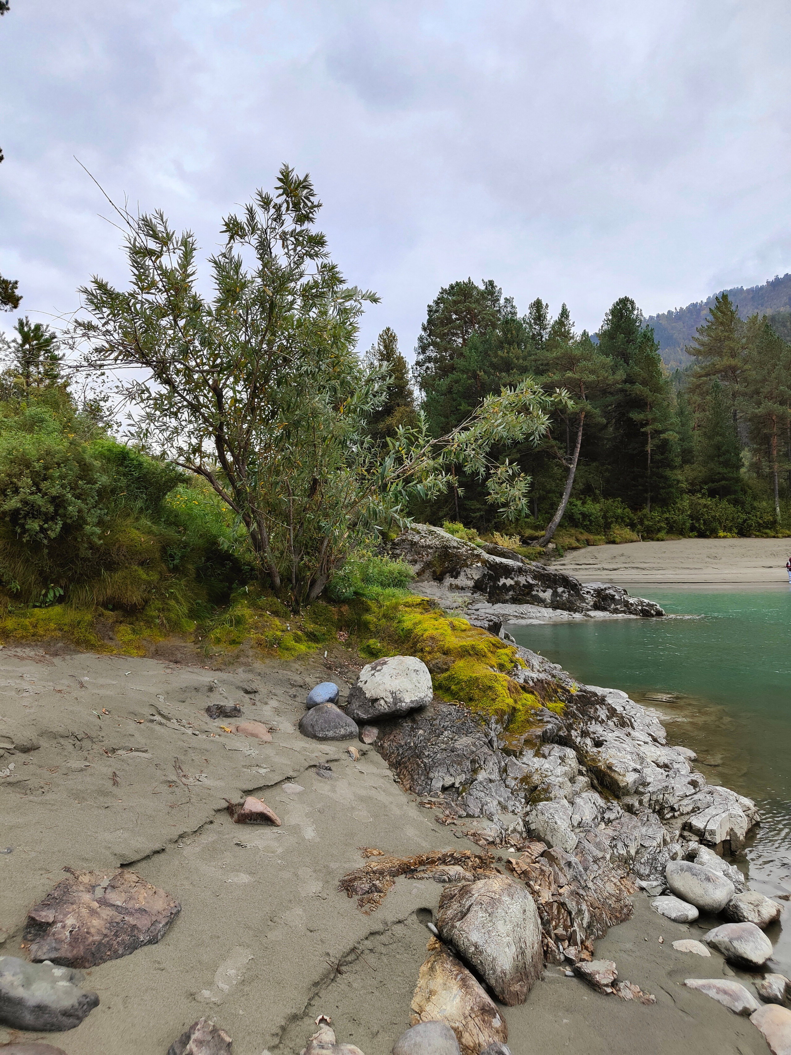 По любимым местам, куда зовет Алтай. Фотограф-документалист Мария Осокина