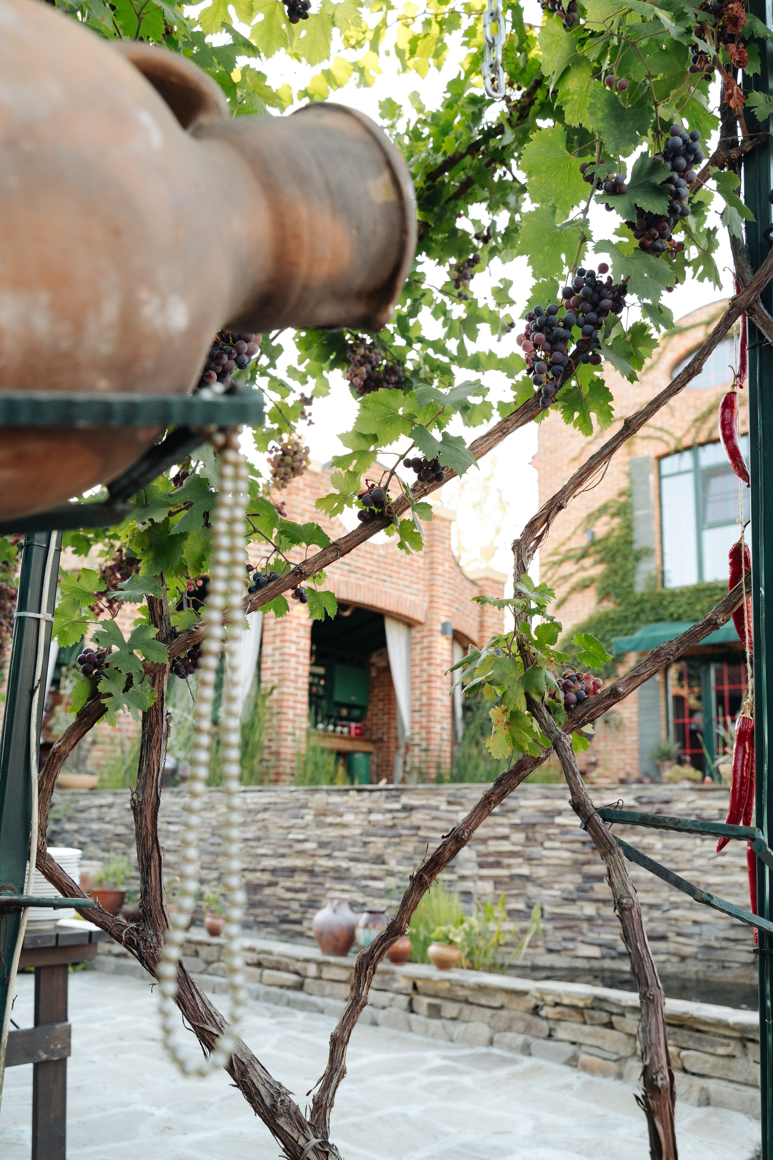 Гастроужин LOVELIFE. Свадебный фотограф  Ростов-на-Дону Моска, Санкт — Петербург