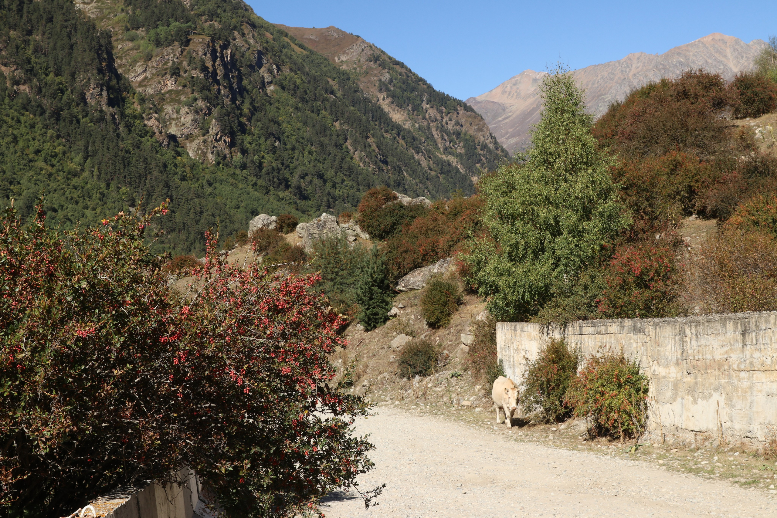 Приэльбрусье. Сентябрь 2023. Путешественник-фотограф из Санкт-Петербурга Татьяна Свистулина