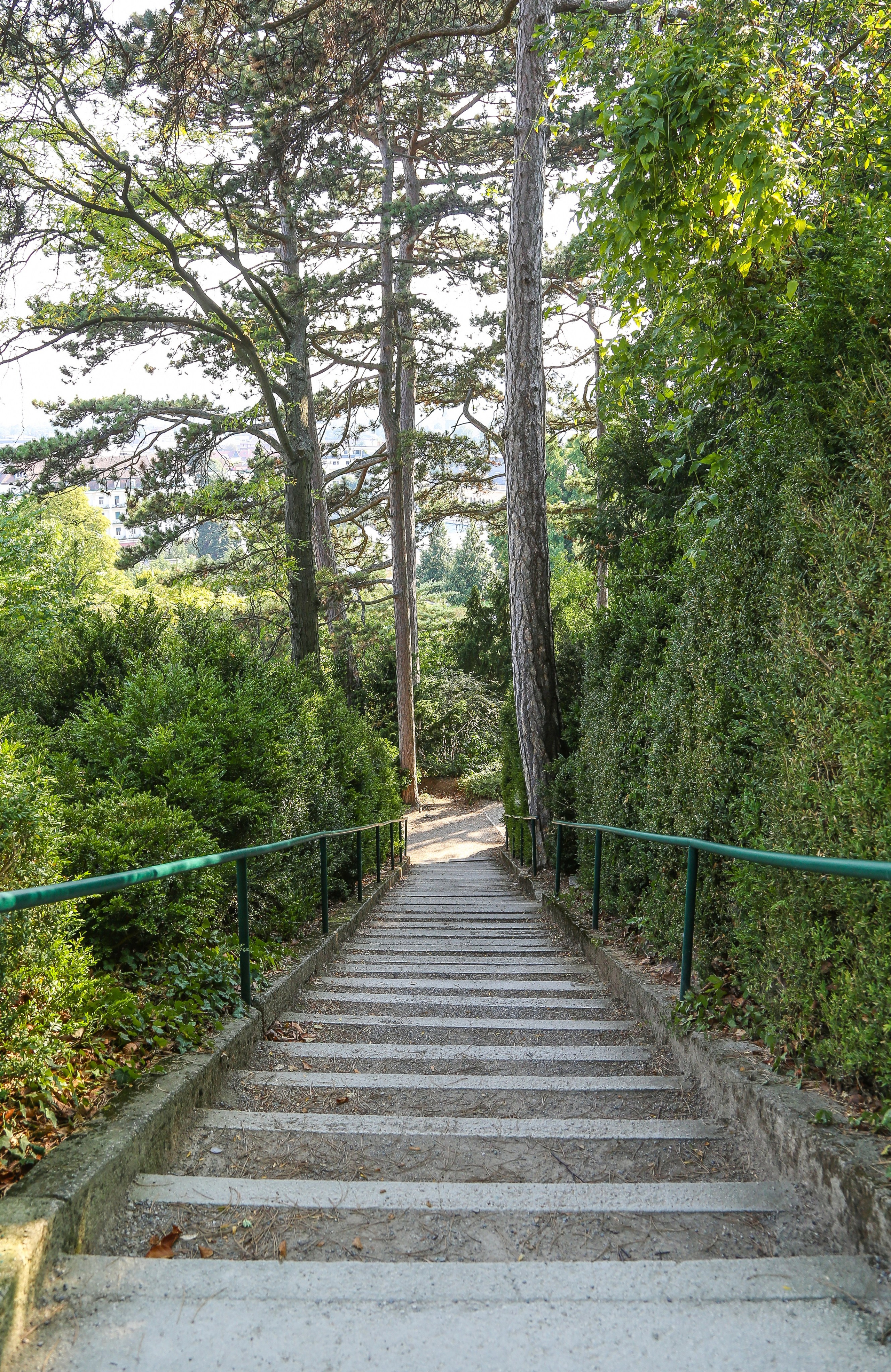 Австрия: Баден. Дарья Письменюк / Darya Leitstern — фотограф, музыкант, журналист, путешественник