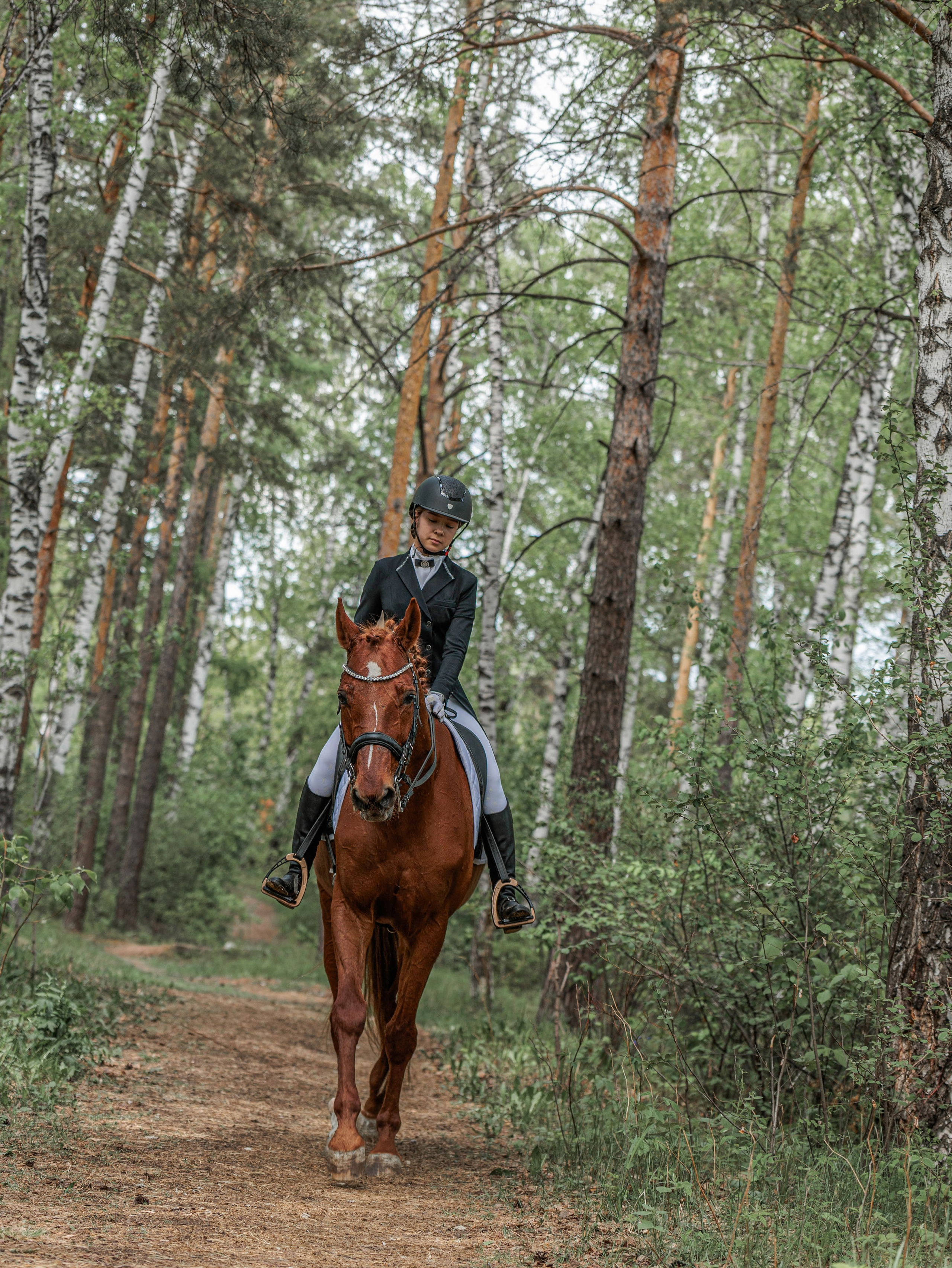 2025. Конный фотограф в Красноярске — Любовь Похабова