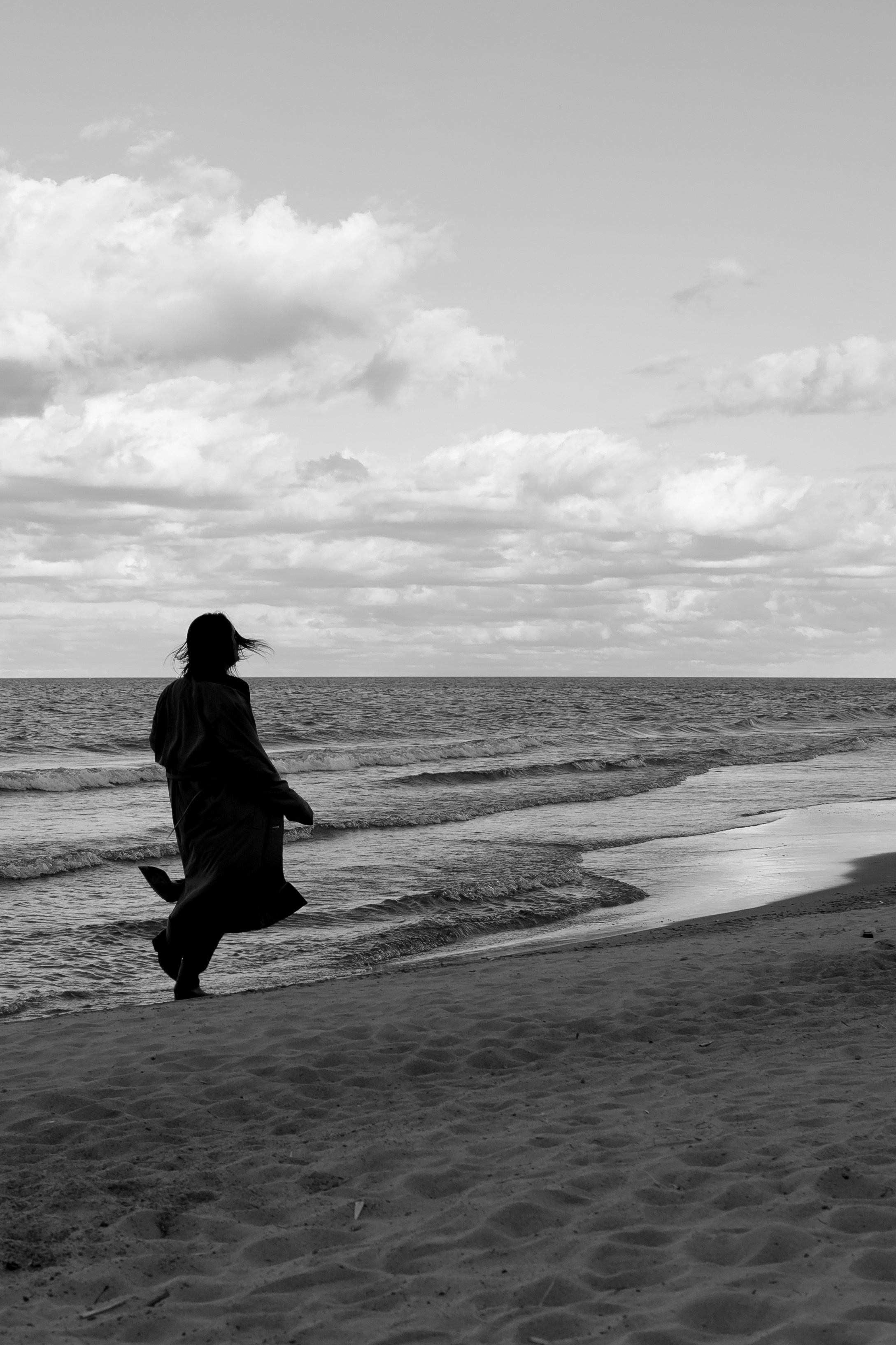 Розы. Профессиональный фотограф, Санкт-Петербург — Виктория Богомолова