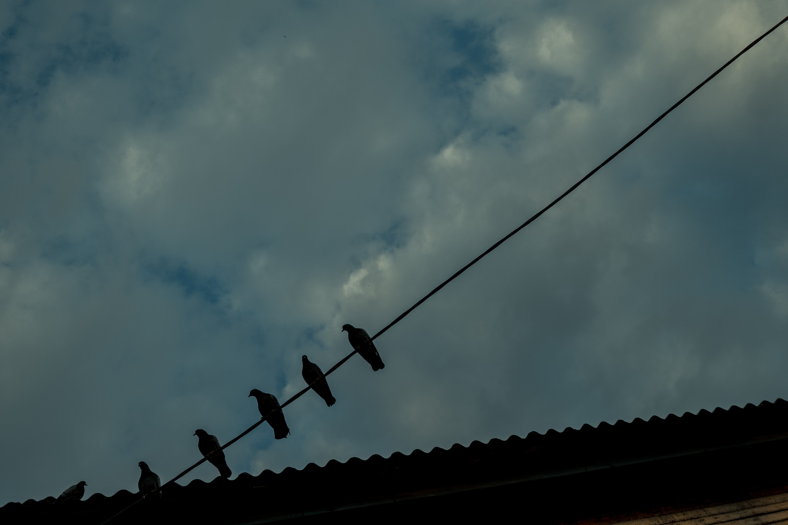 Фотографии Каргополя и красивые виды Русского Севера. Портретный, репортажный и пейзажный фотограф в Москве Сергей Арест