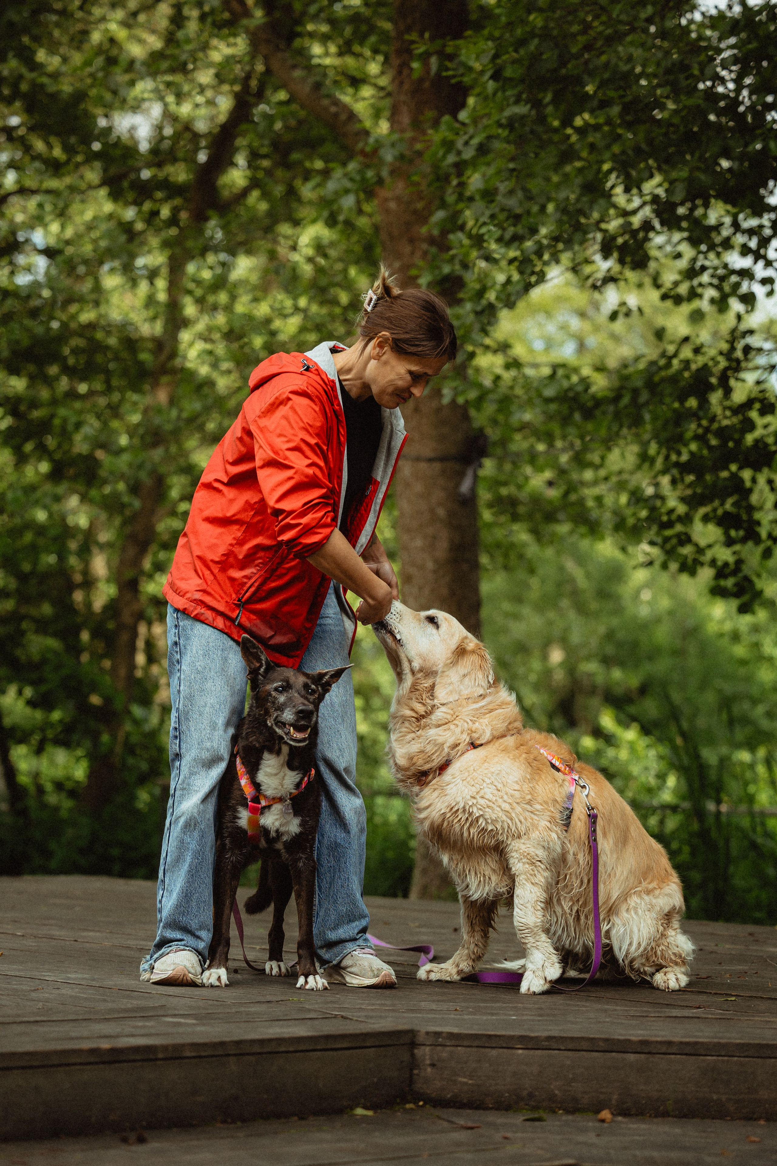Выездной дог-тренинг от школы «Шерсть имею»