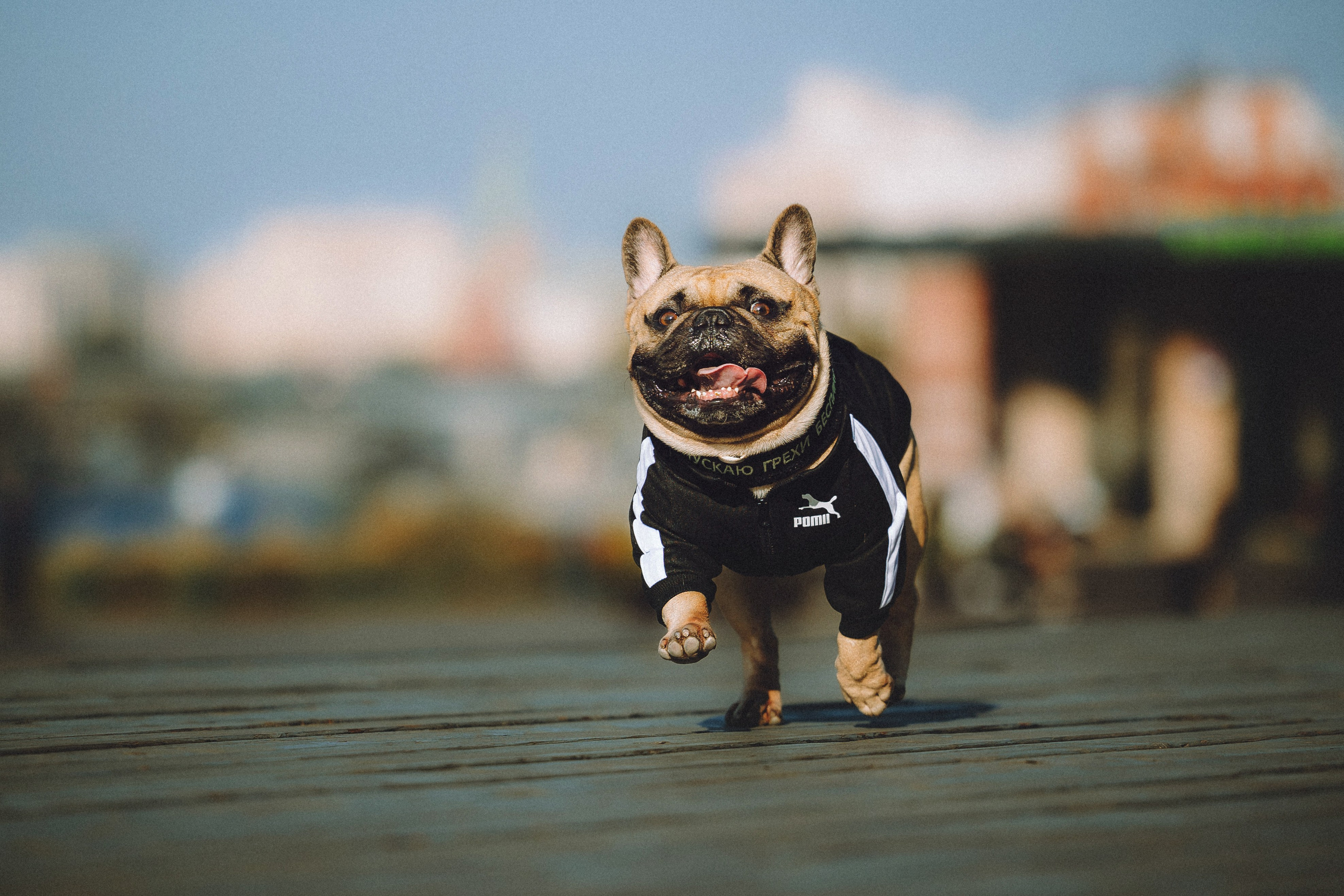 Настя, Женя и Хонор