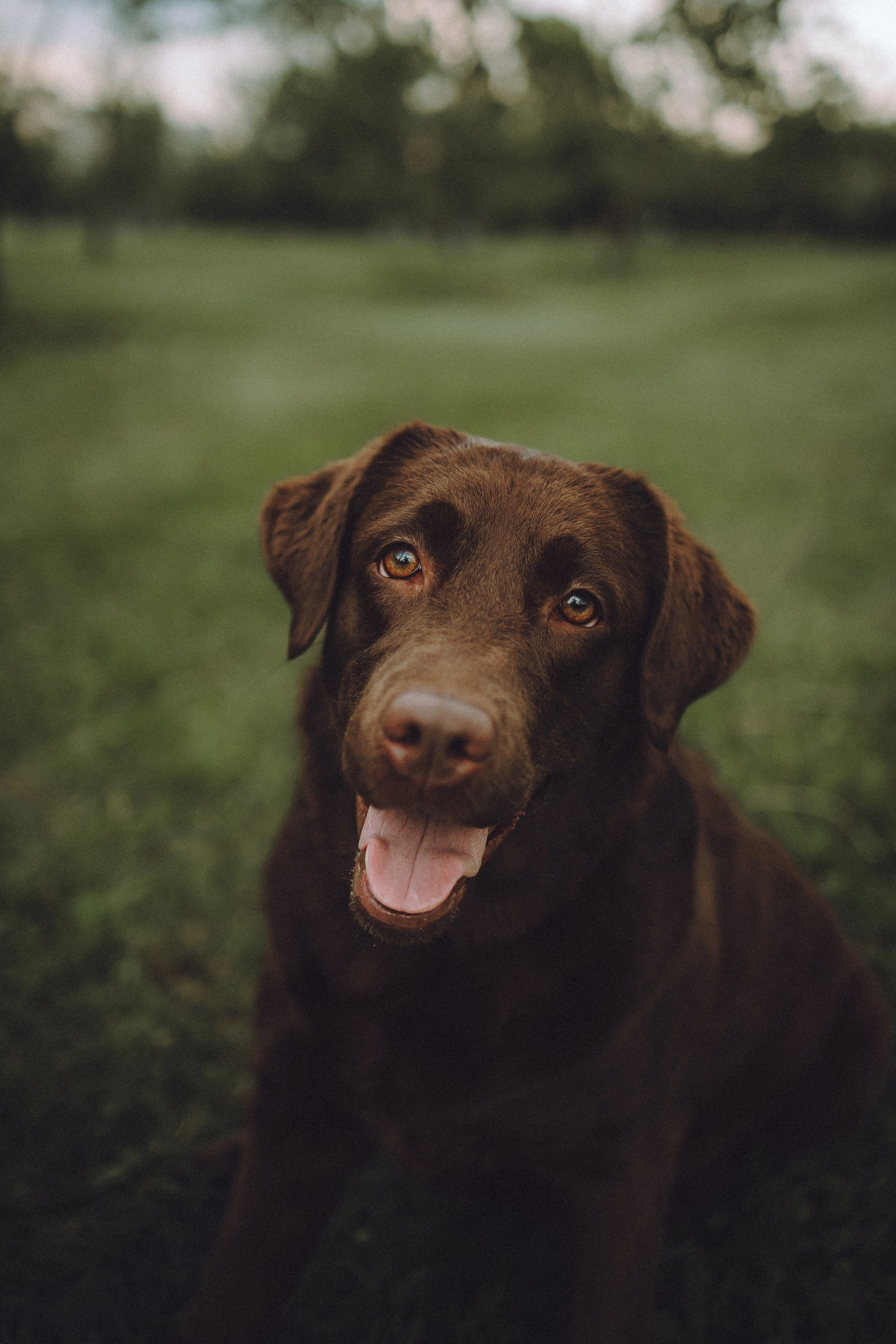 Катя, Ваня и Джеси