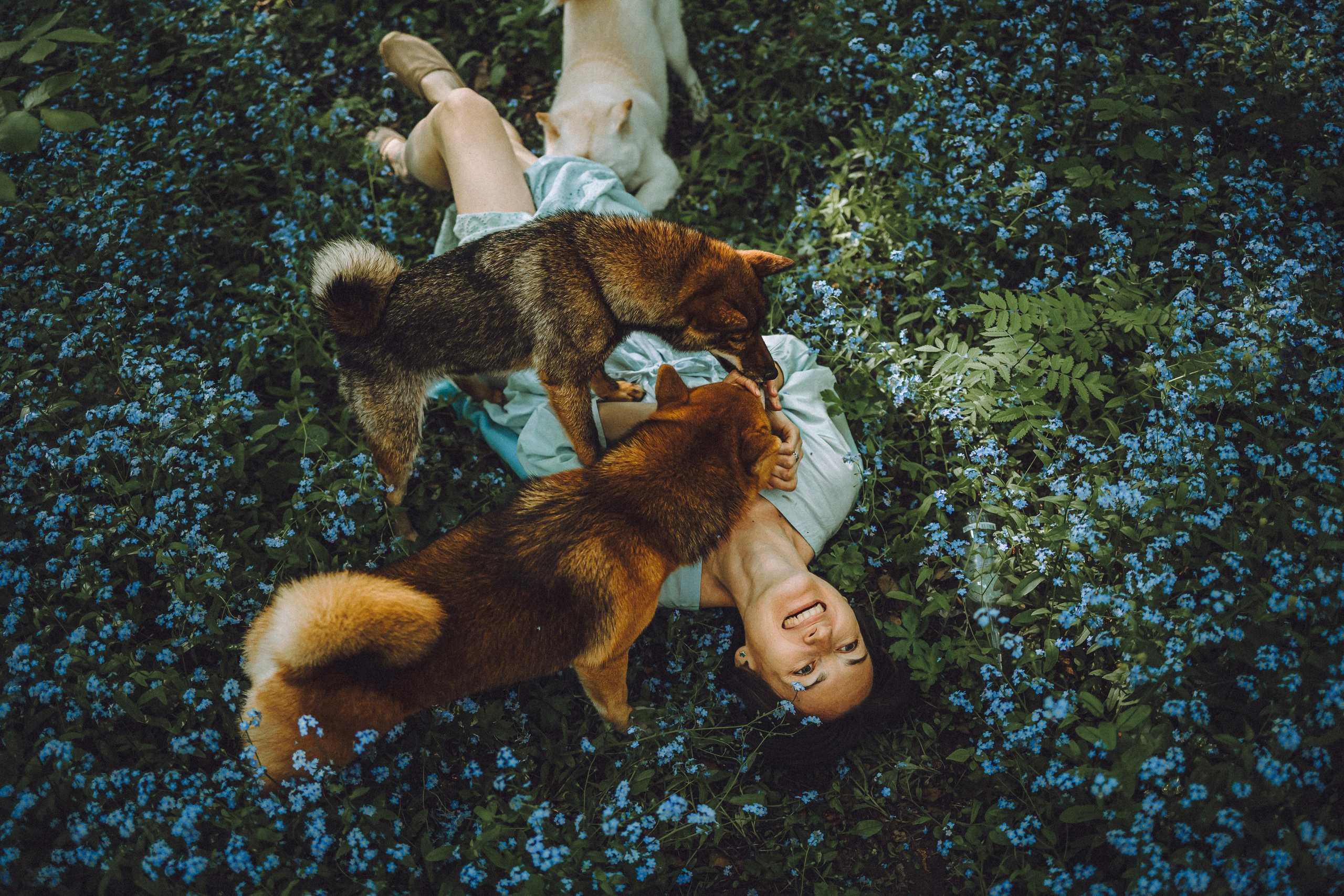 Шед, Цири, Чиби, Цера и их семья