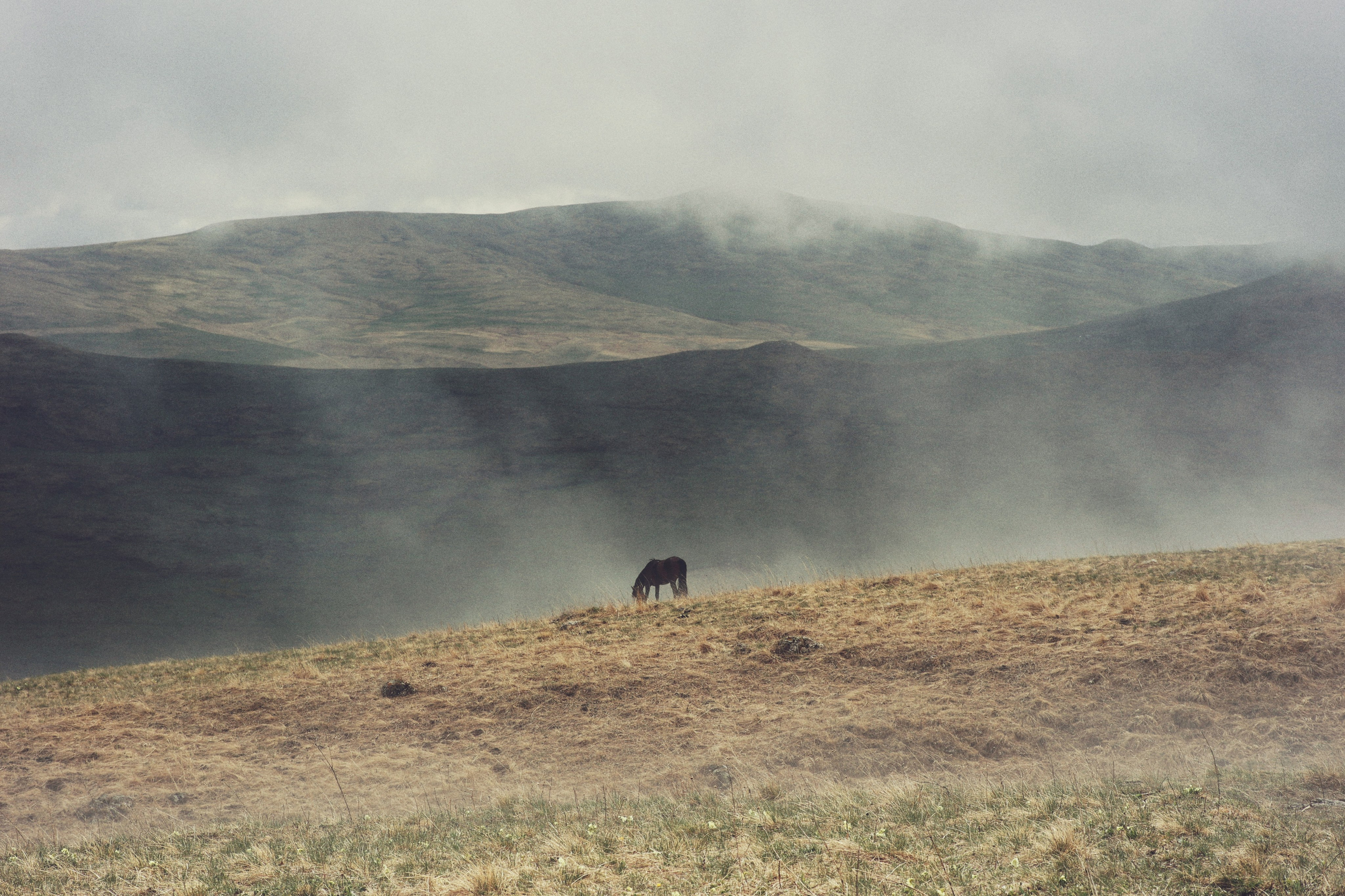 Бермамыт2. Семейный фотограф Пятигорск, Кисловодск, Эльбрус. Марина Вяликова