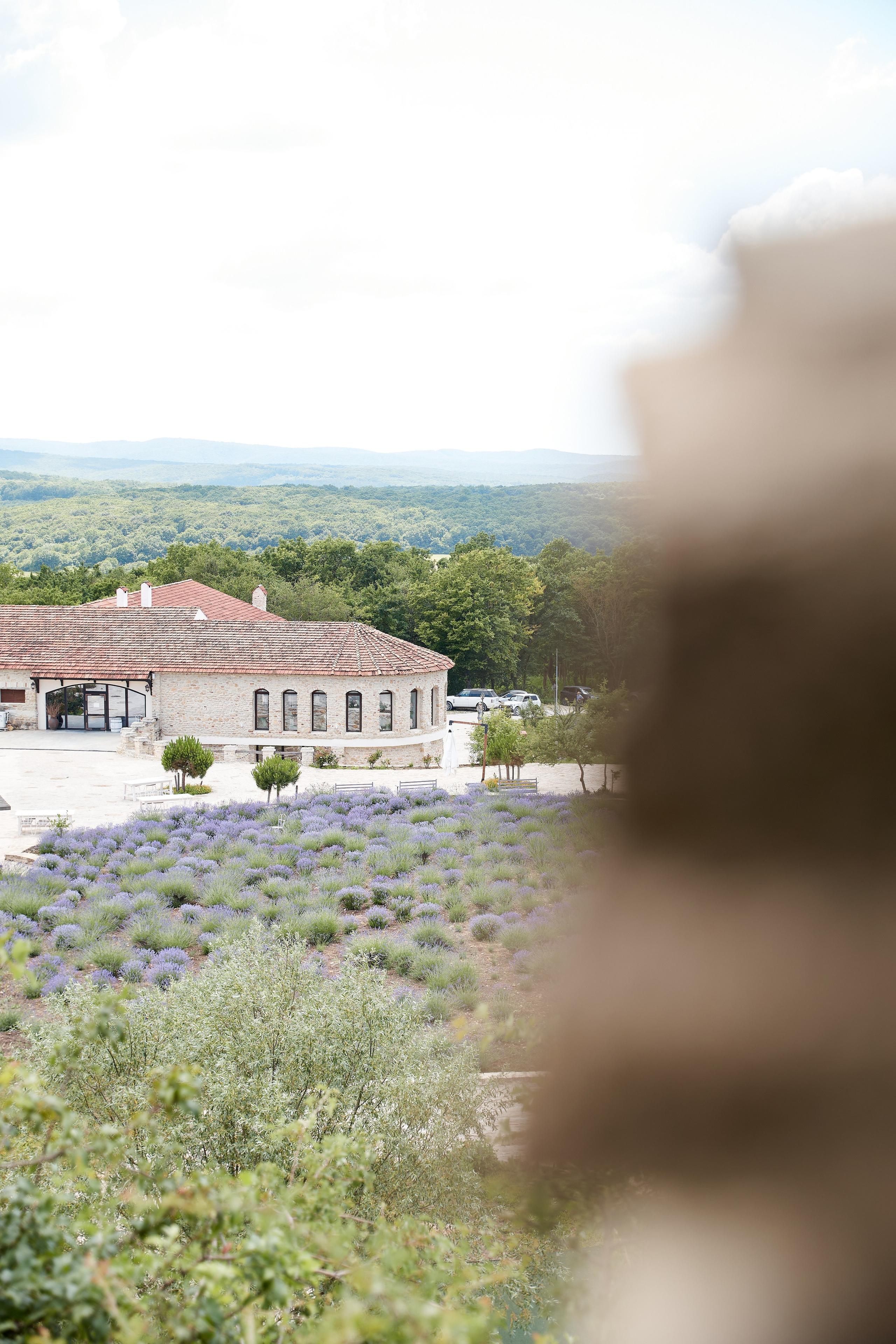 ОДНА ВИНОДЕЛЬНЯ. Репортажный и мужской фотограф в Краснодаре. Фотограф в Краснодаре
