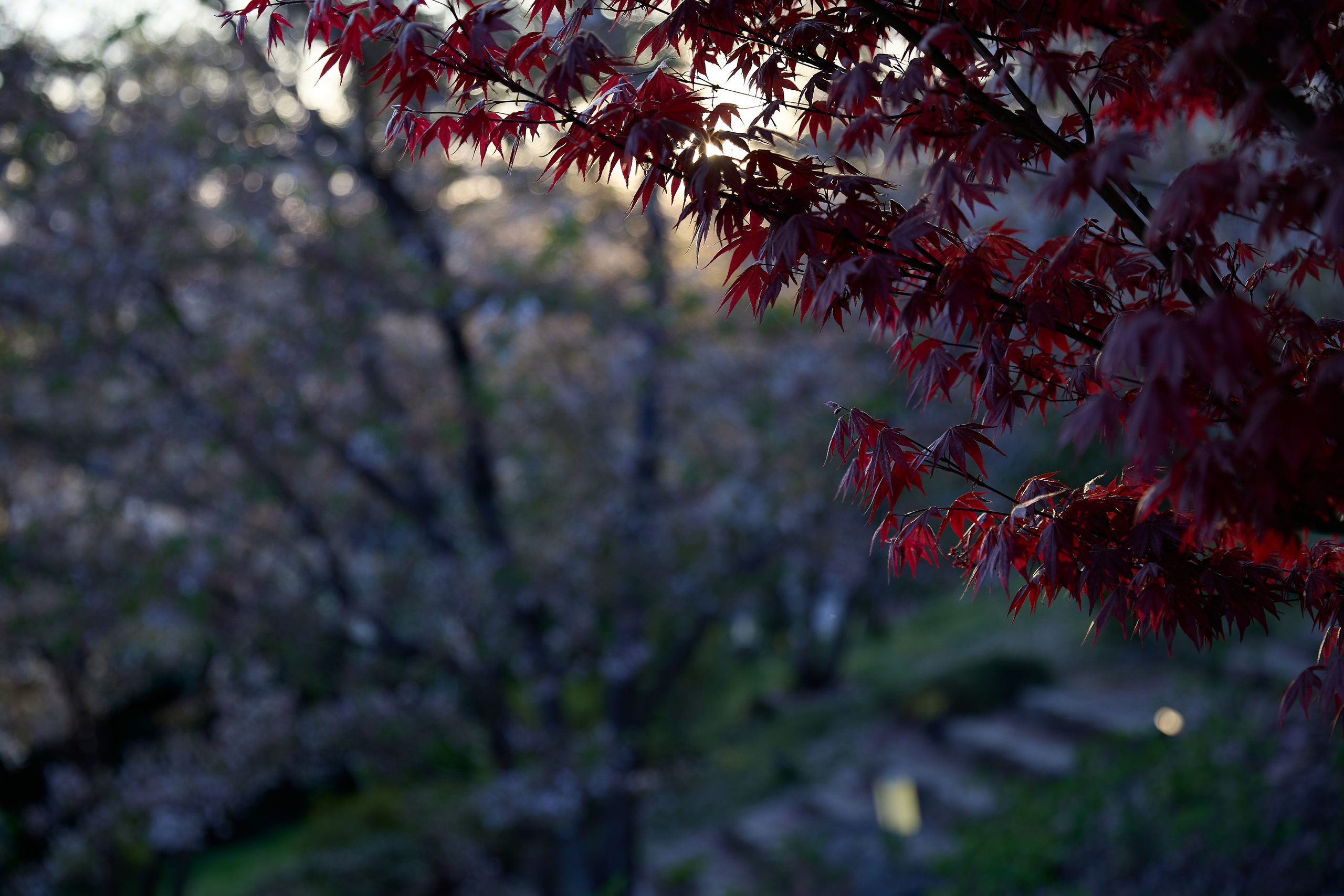 КРЫМ. Репортажный и мужской фотограф в Краснодаре. Фотограф в Краснодаре