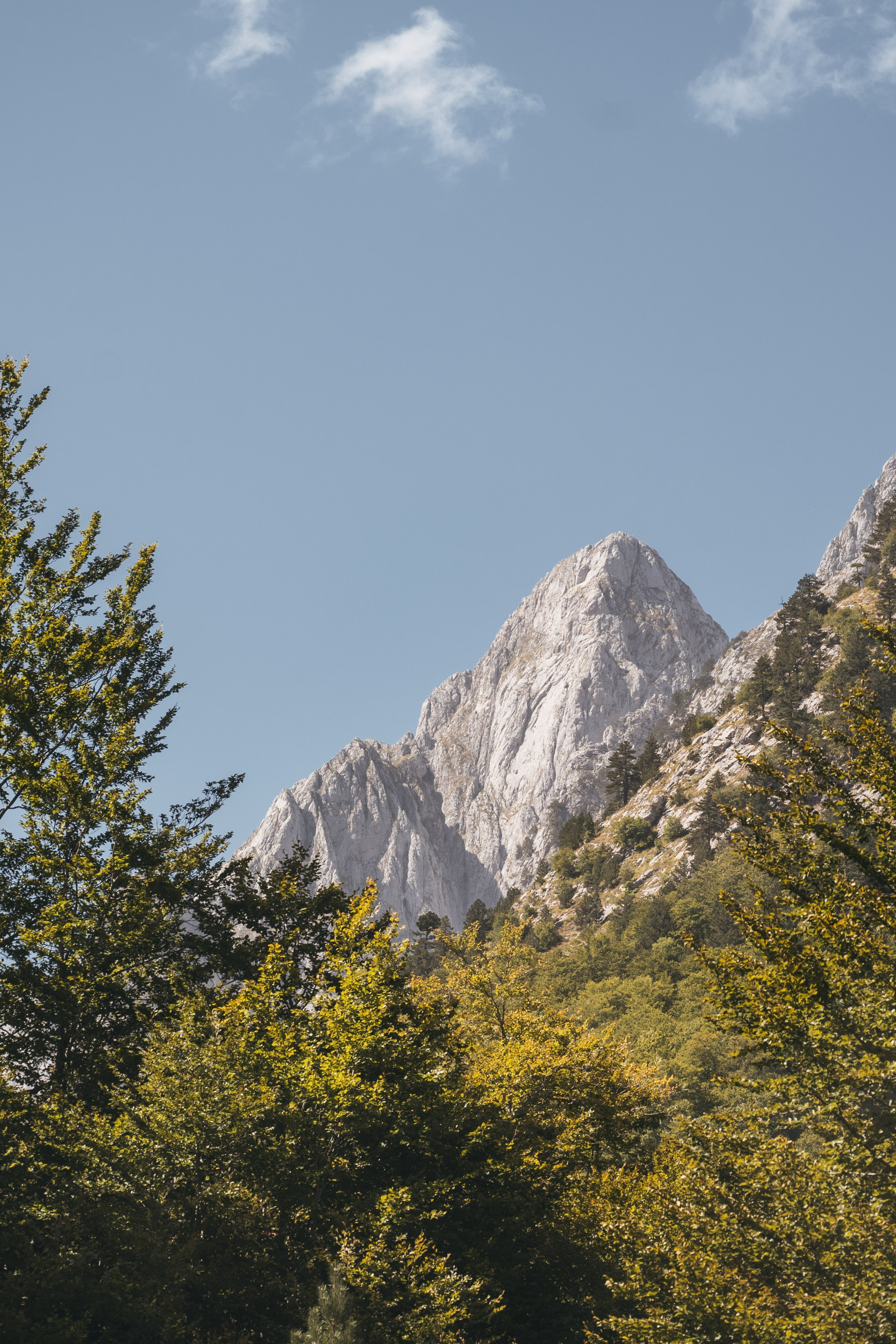 ДОЛИНА РАПОЯНА. ЧЕРНОГОРИЯ. Фотограф в Белграде Чугреева Елена