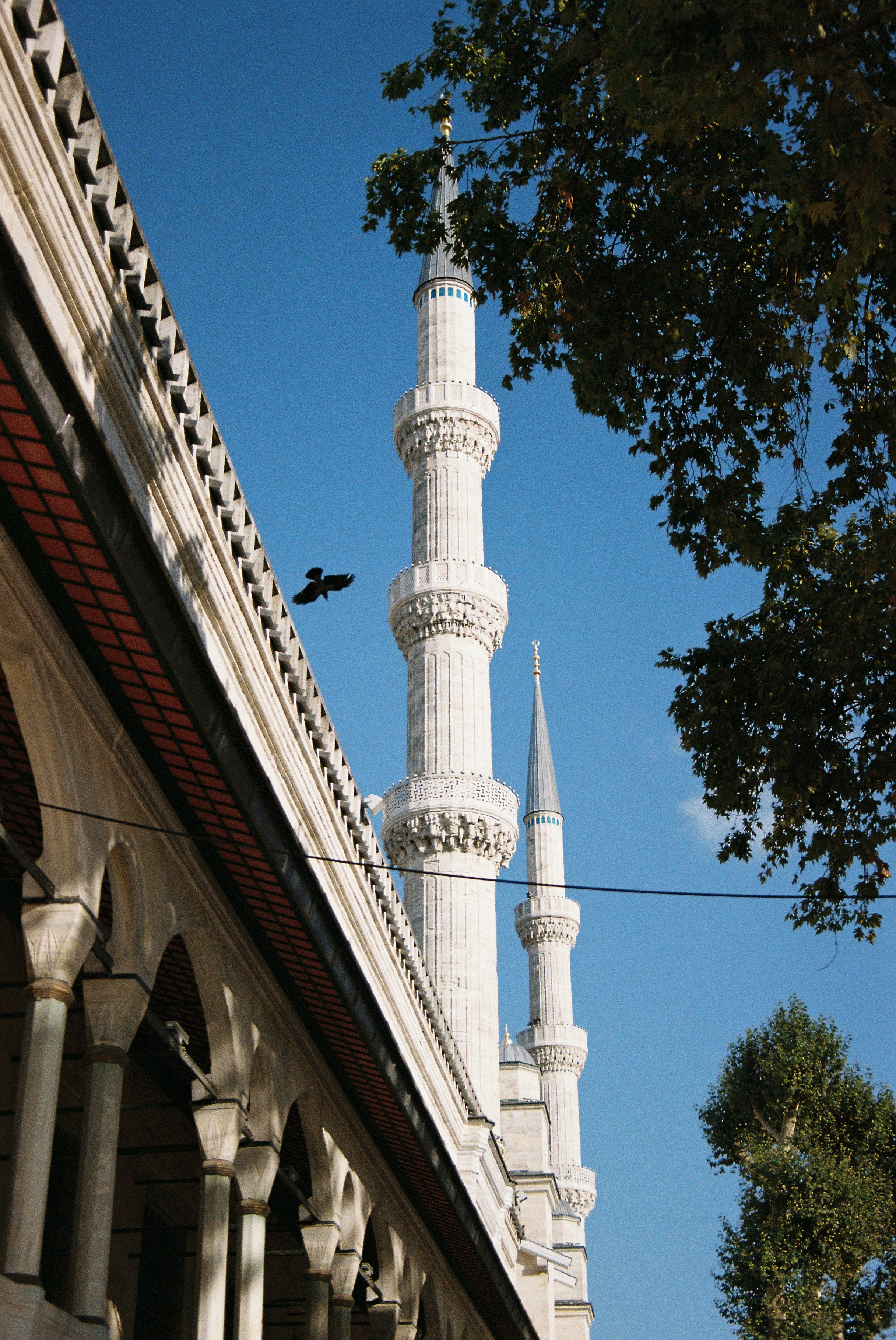 Путешествия. Anastasiia Kron