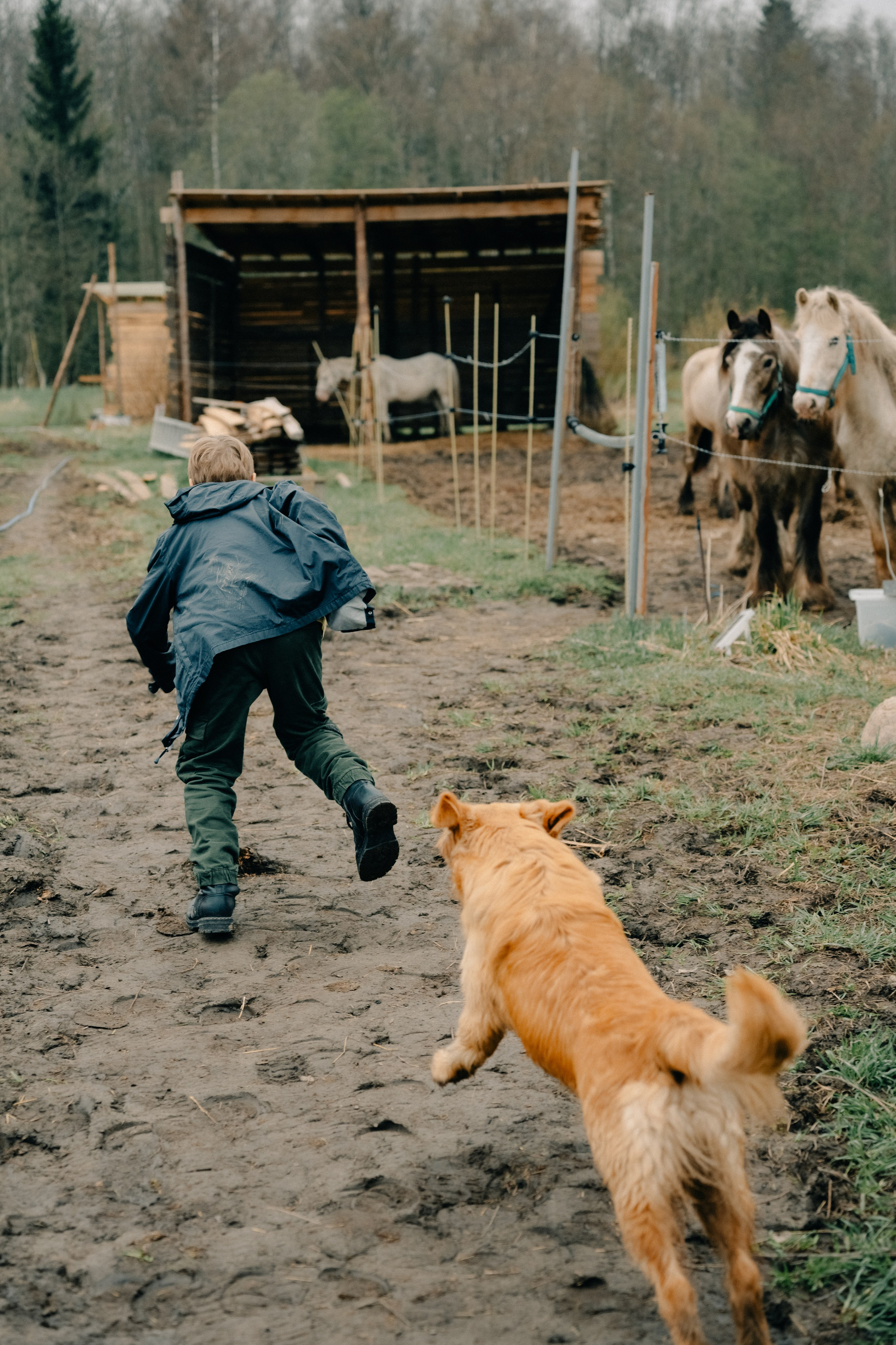 Зоопарк в моём багаже. Кошенкова Мария: портретный и репортажный фотограф. Санкт-Петербург