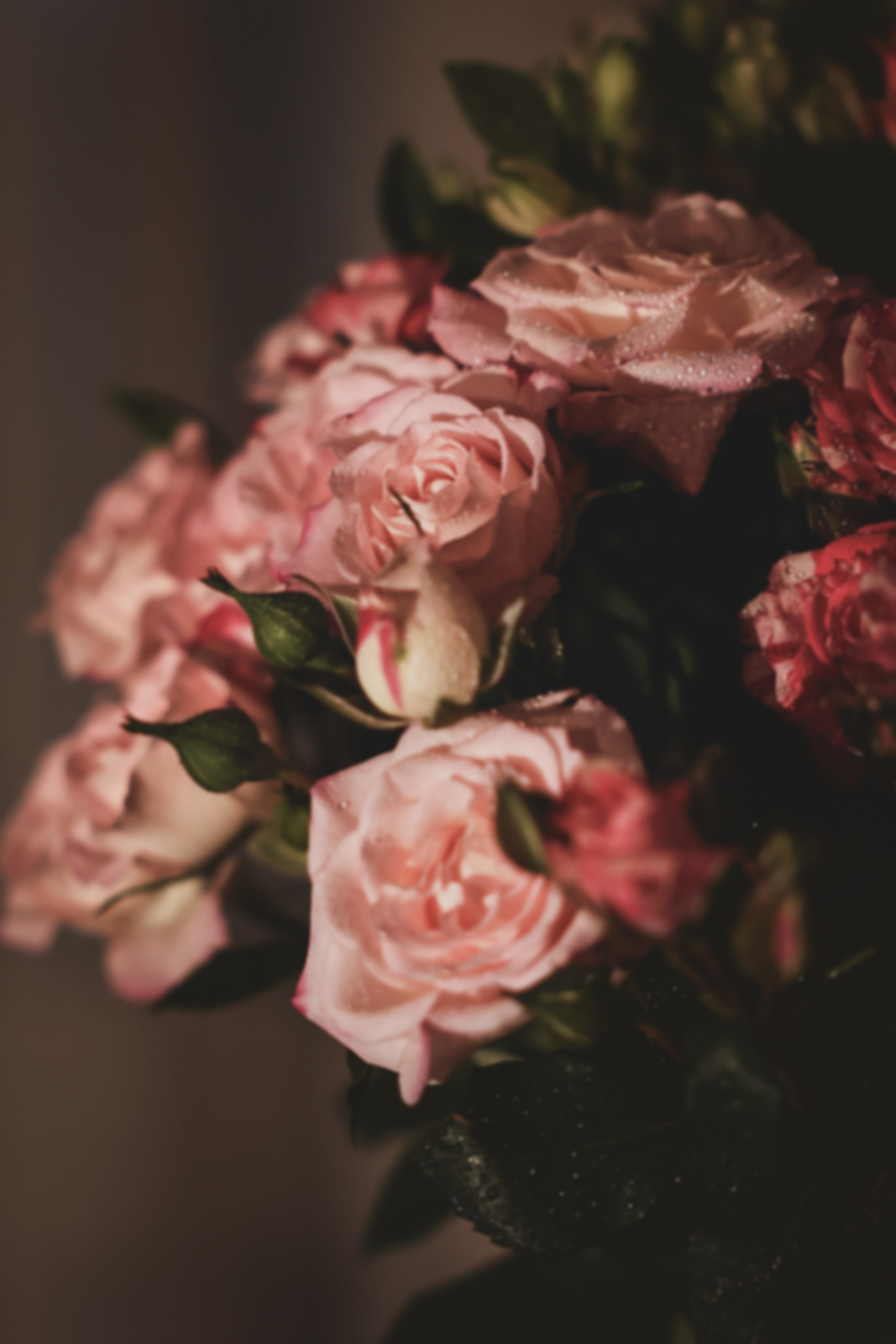 Отзывы. Фотограф портретист в Санкт Петербурге Дроздова Алла