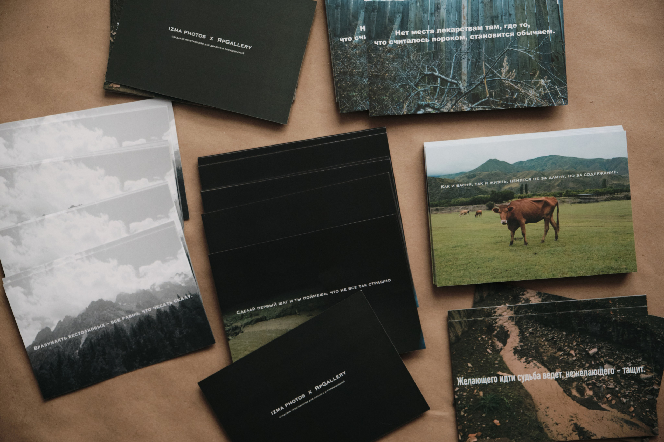 Выставки и мероприятия. Izma photos