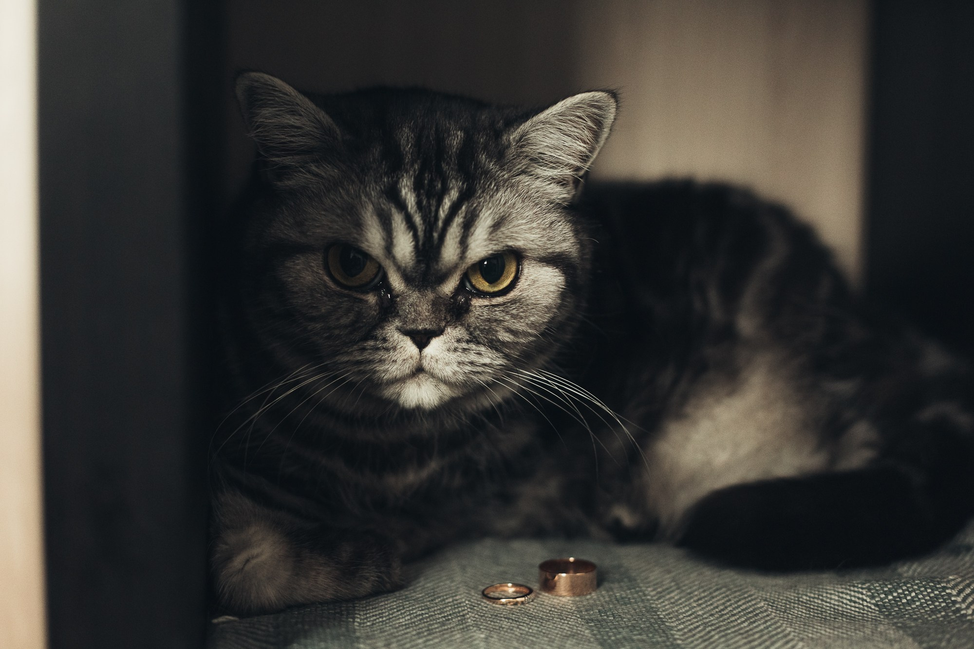 Свадьба. Портретный фотограф в Санкт-Петербурге Гоманцова Елена